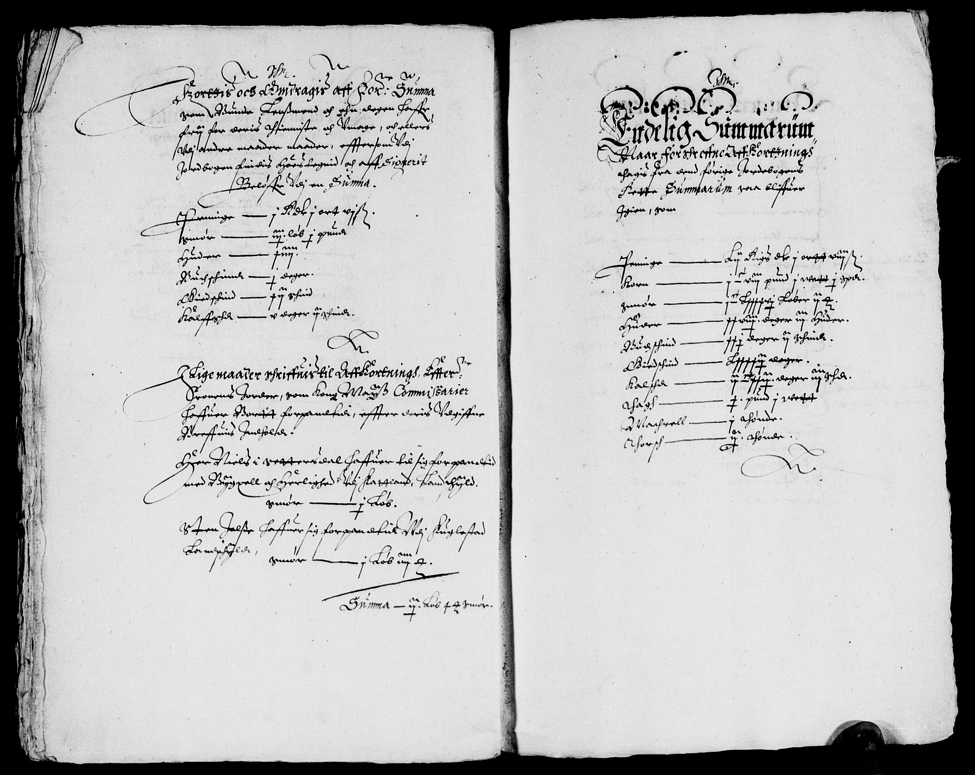 Rentekammeret inntil 1814, Reviderte regnskaper, Lensregnskaper, AV/RA-EA-5023/R/Rb/Rbs/L0013: Stavanger len, 1628-1629