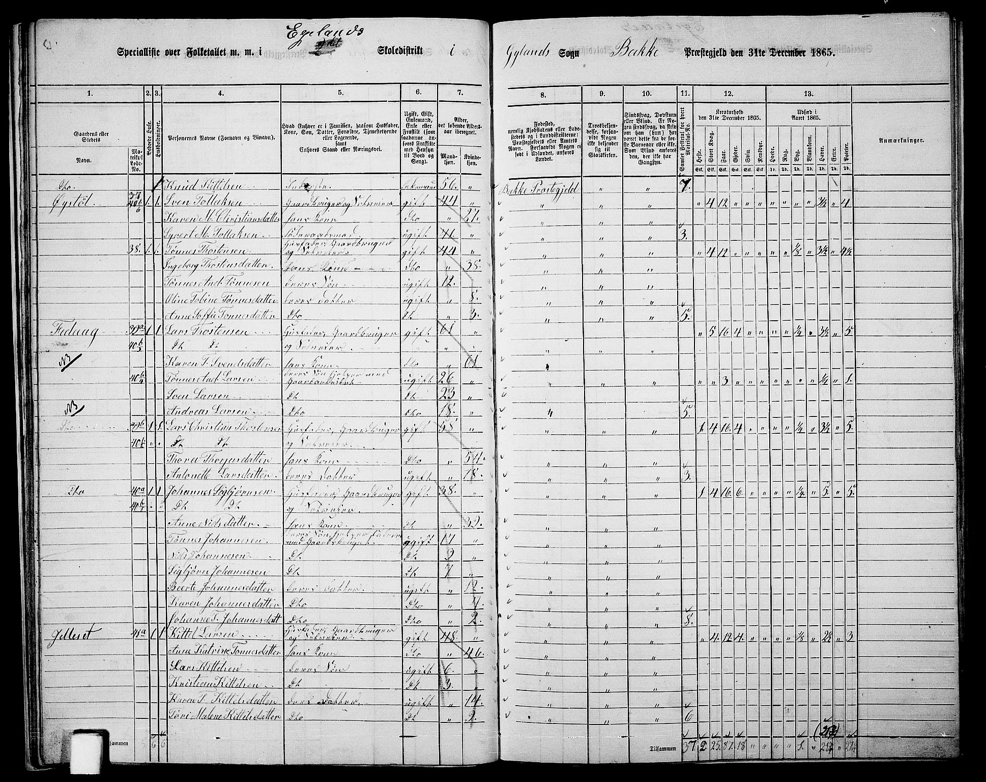 RA, 1865 census for Bakke, 1865, p. 24