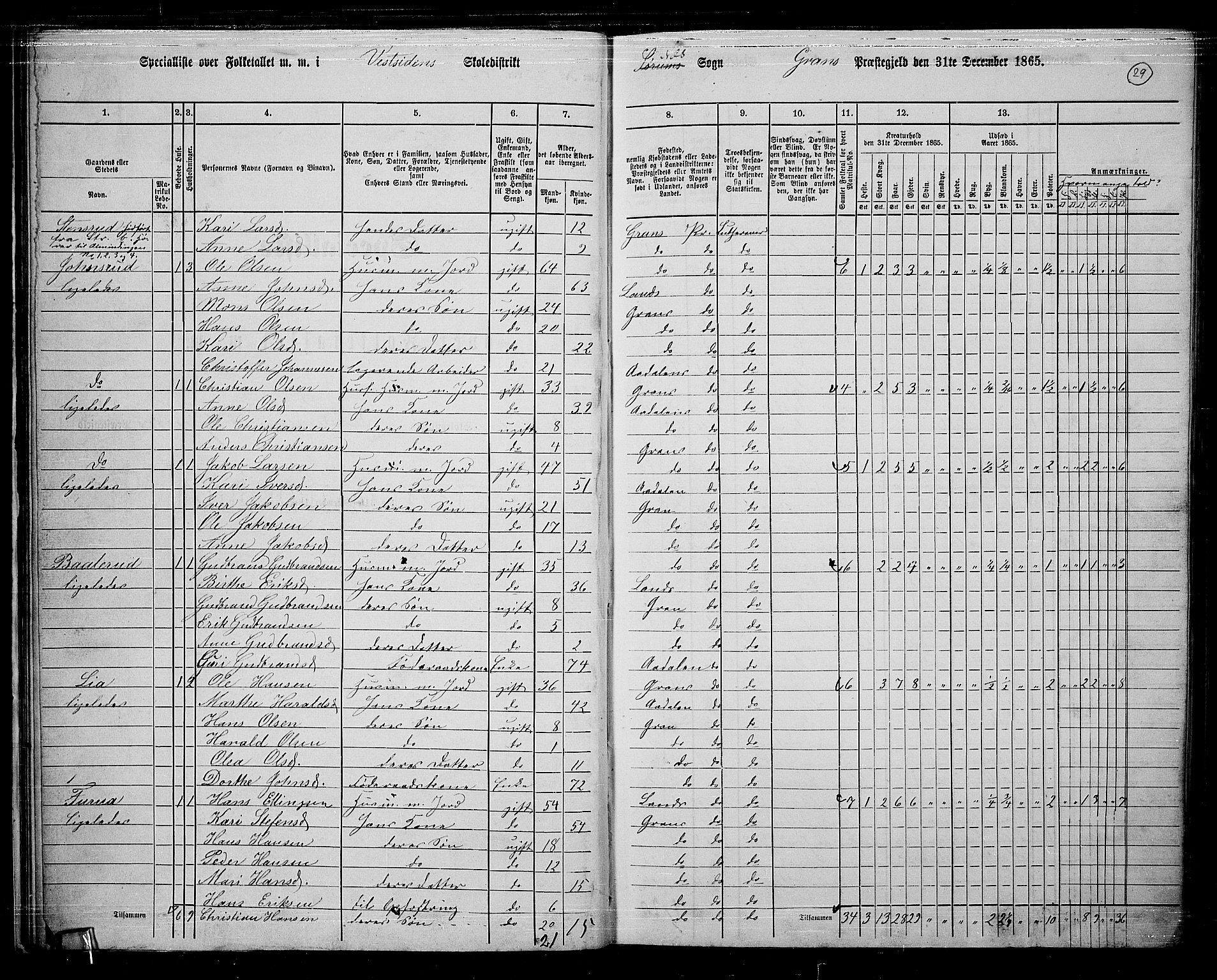 RA, 1865 census for Gran, 1865, p. 217