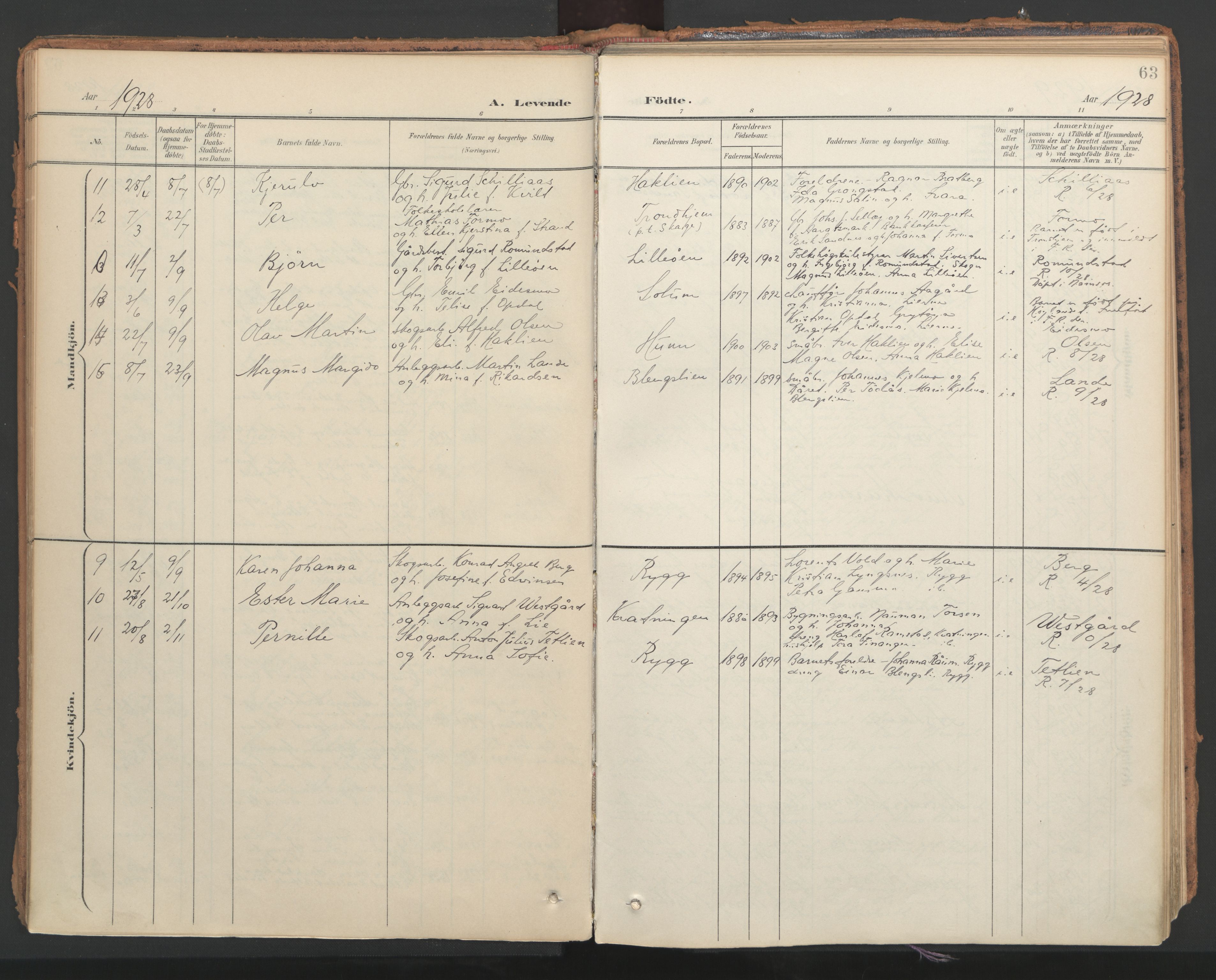 Ministerialprotokoller, klokkerbøker og fødselsregistre - Nord-Trøndelag, AV/SAT-A-1458/766/L0564: Parish register (official) no. 767A02, 1900-1932, p. 63