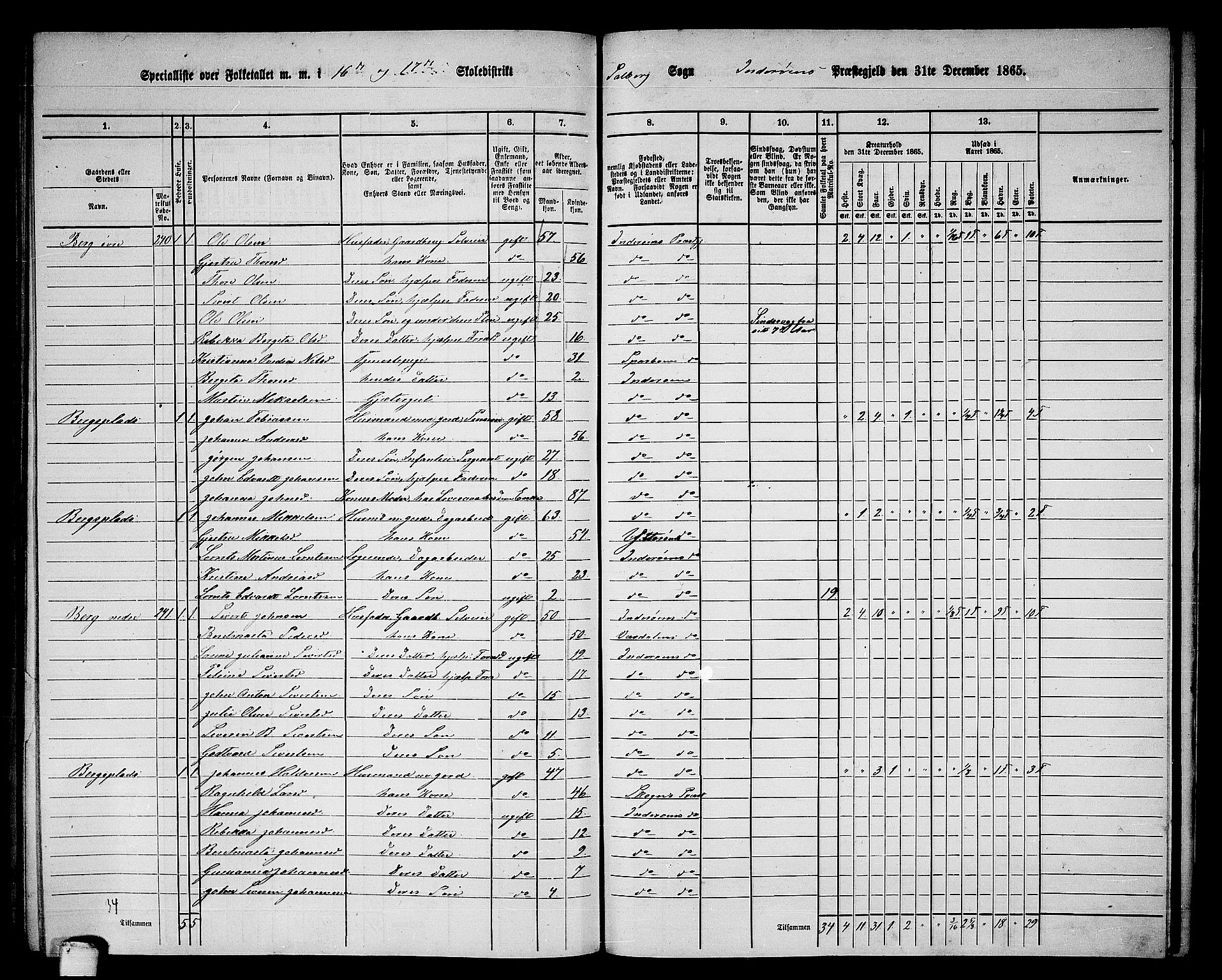 RA, 1865 census for Inderøy, 1865, p. 212