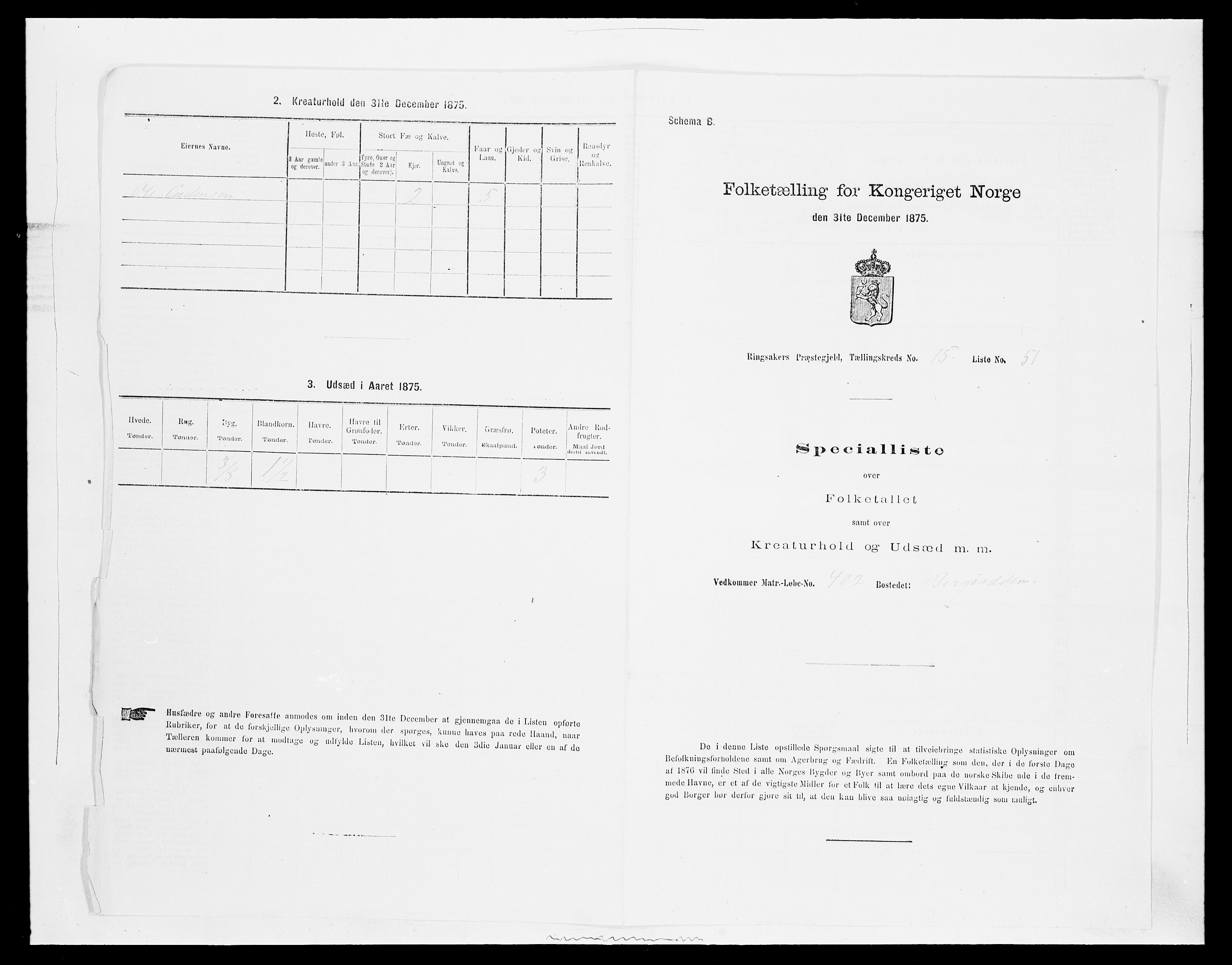 SAH, 1875 census for 0412P Ringsaker, 1875, p. 3132