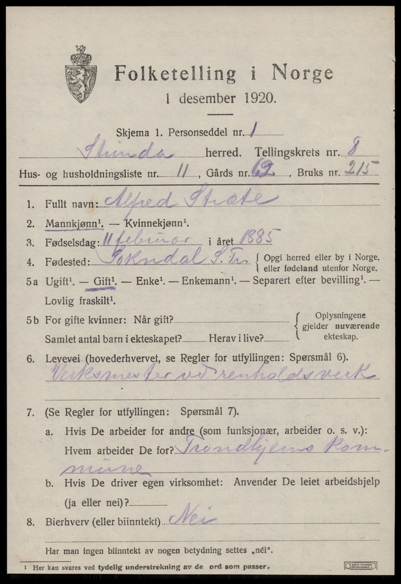 SAT, 1920 census for Strinda, 1920, p. 19974