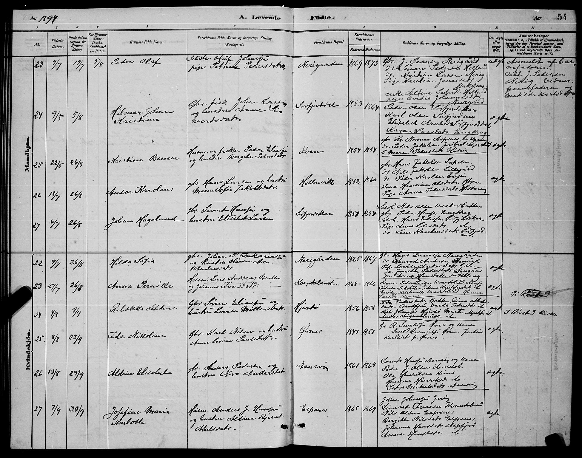 Ministerialprotokoller, klokkerbøker og fødselsregistre - Nordland, AV/SAT-A-1459/853/L0772: Parish register (official) no. 853A11, 1881-1900, p. 54