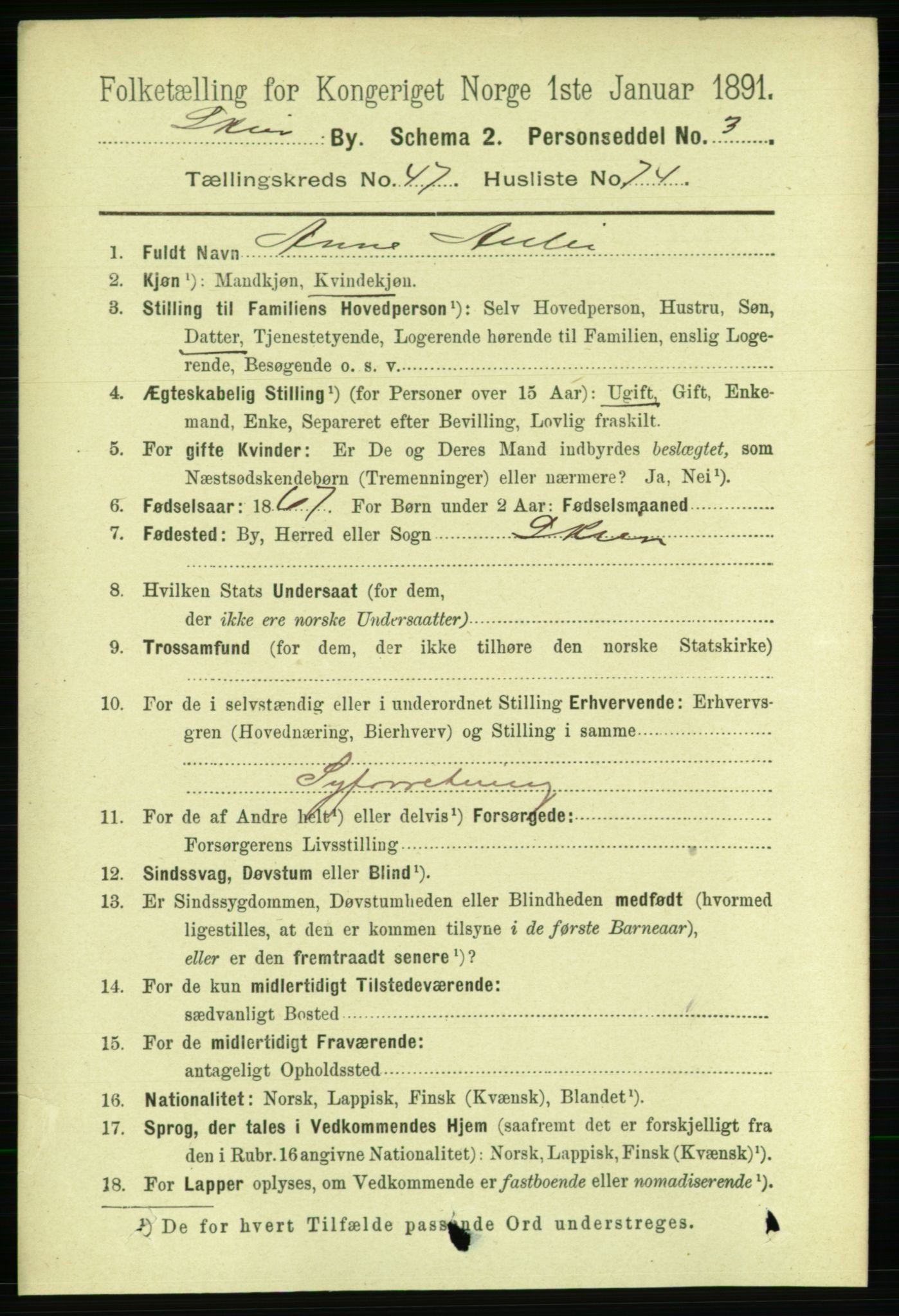 RA, 1891 census for 0806 Skien, 1891, p. 9820