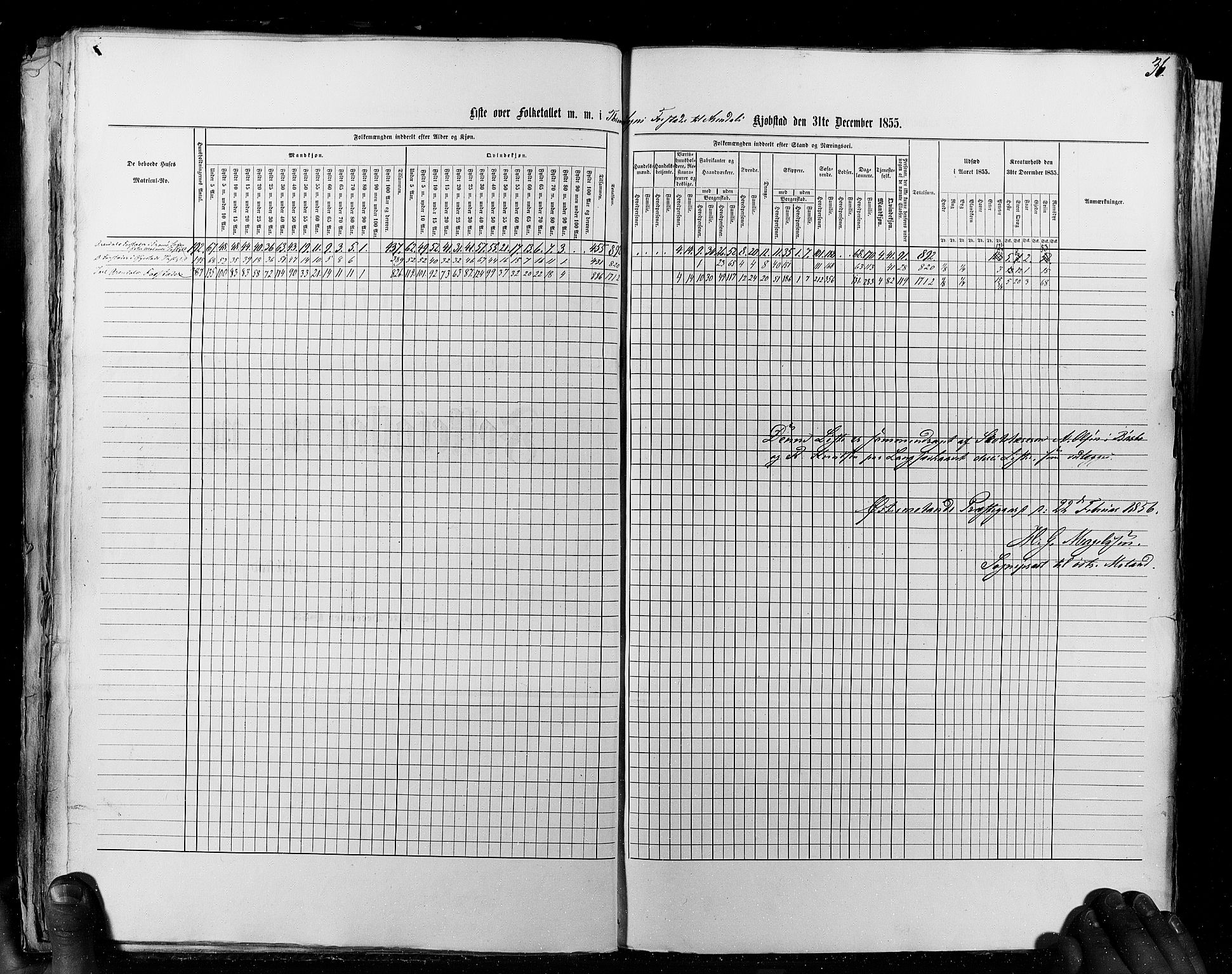 RA, Census 1855, vol. 8: Risør-Vadsø, 1855, p. 36