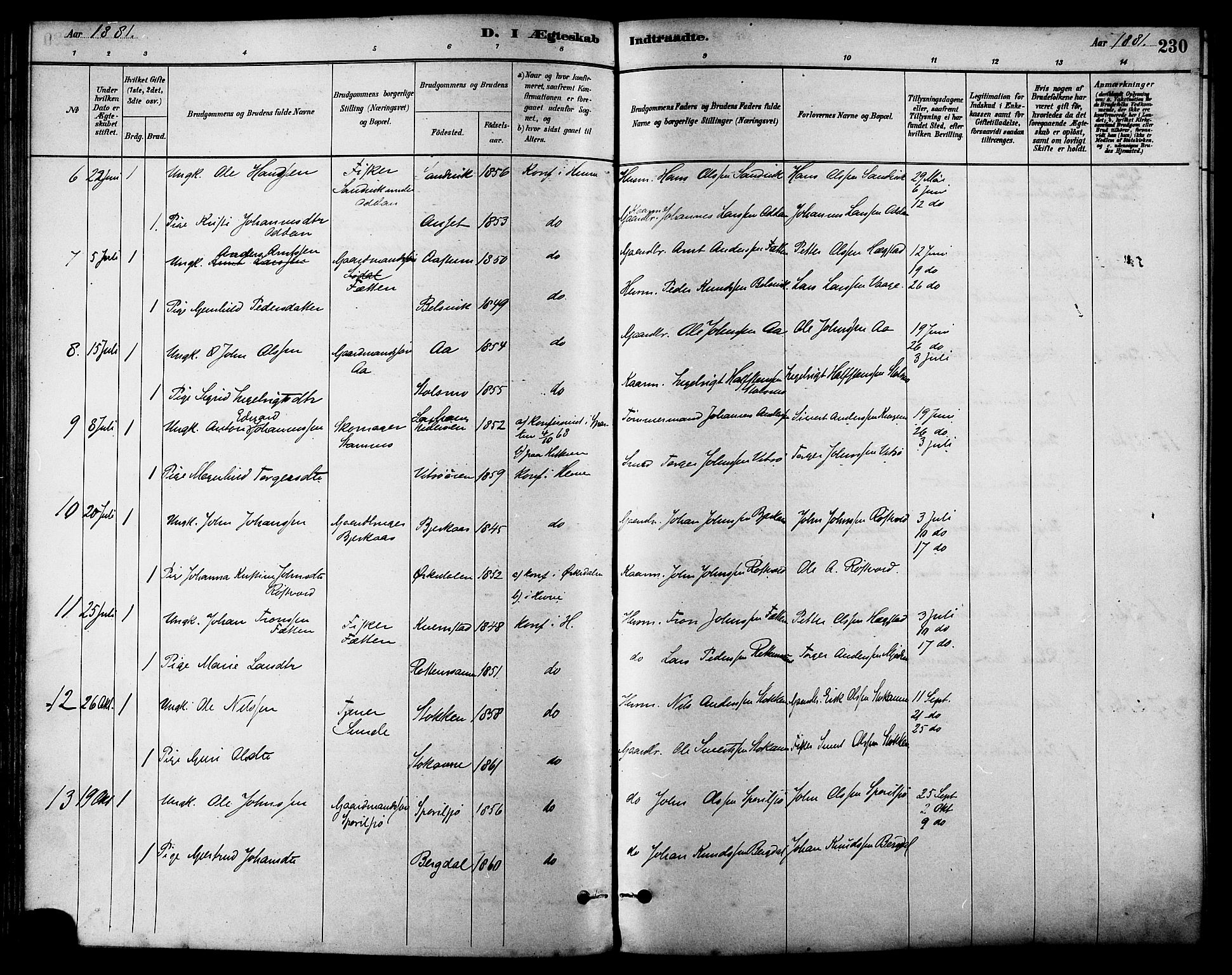 Ministerialprotokoller, klokkerbøker og fødselsregistre - Sør-Trøndelag, AV/SAT-A-1456/630/L0496: Parish register (official) no. 630A09, 1879-1895, p. 230