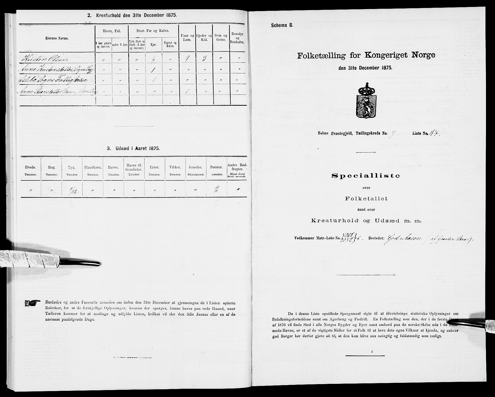 SAK, 1875 census for 1020P Holum, 1875, p. 1052