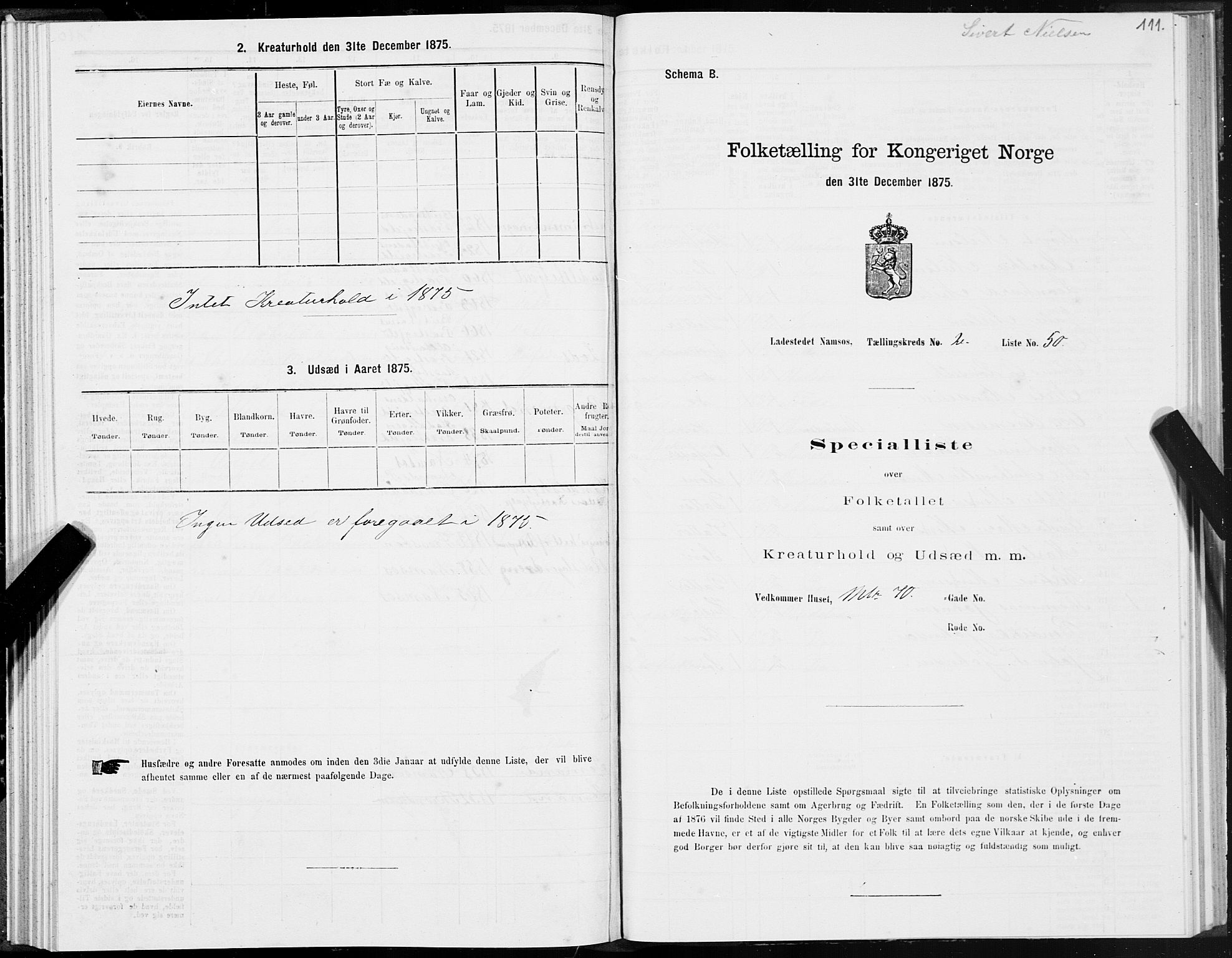 SAT, 1875 census for 1703B Namsos/Namsos, 1875, p. 111