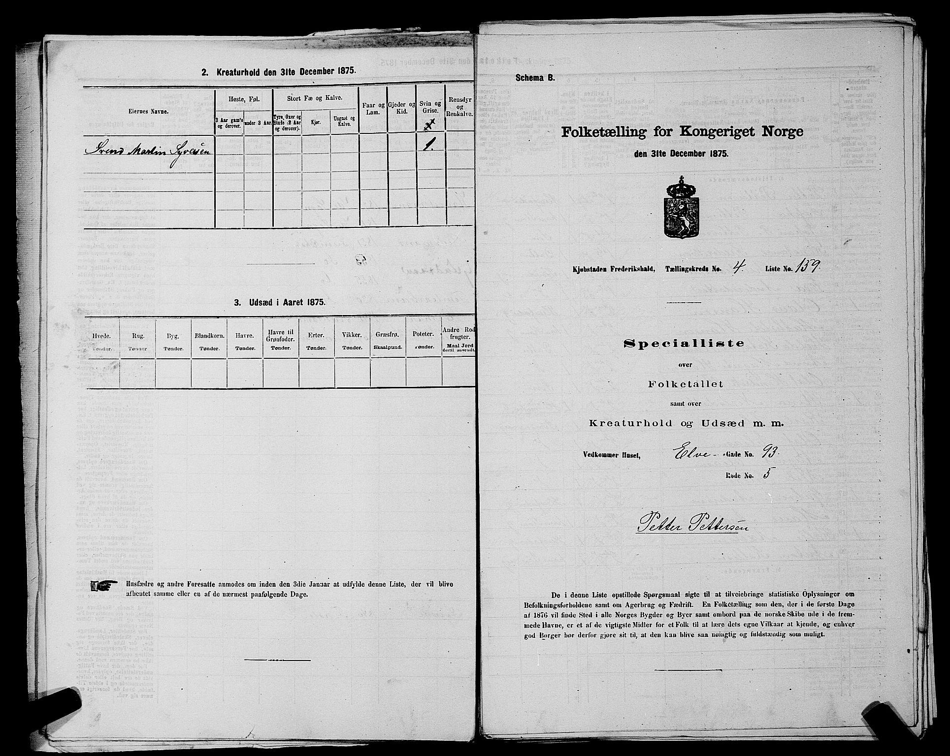 RA, 1875 census for 0101P Fredrikshald, 1875, p. 377