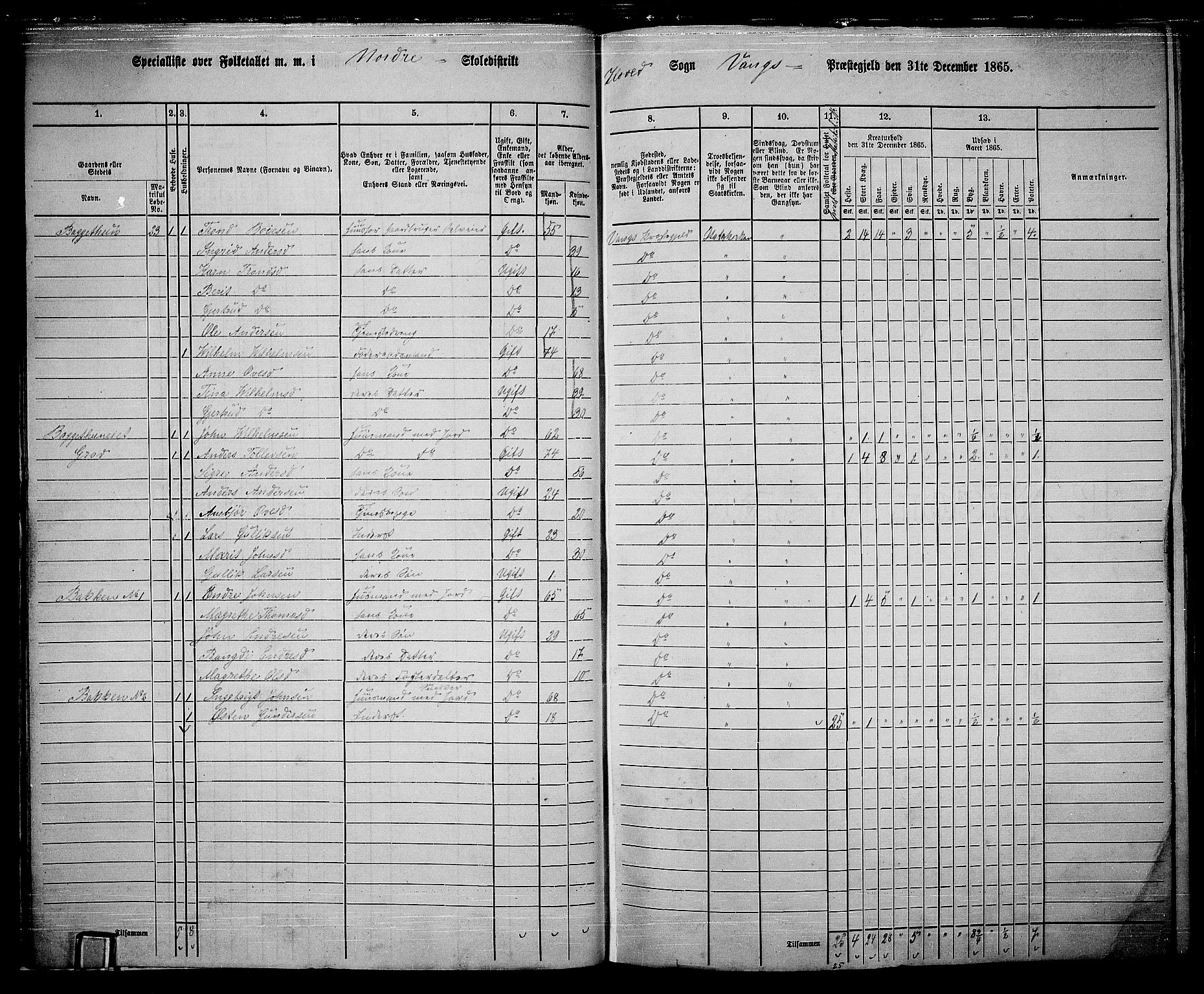 RA, 1865 census for Vang, 1865, p. 21