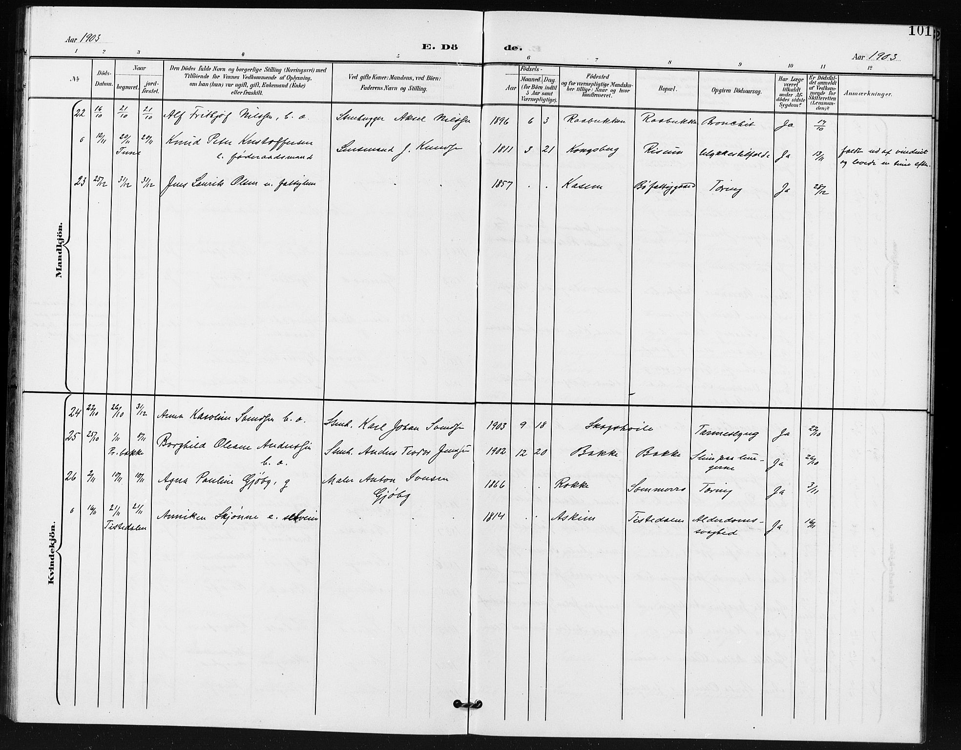 Idd prestekontor Kirkebøker, AV/SAO-A-10911/G/Gb/L0001: Parish register (copy) no. II 1, 1901-1907, p. 101