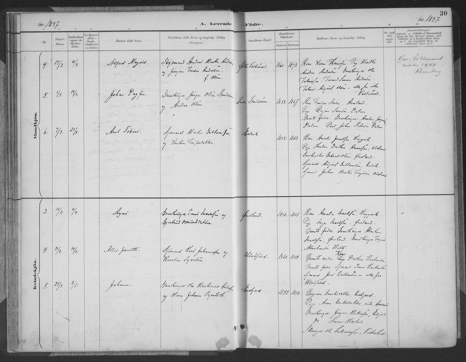 Høvåg sokneprestkontor, AV/SAK-1111-0025/F/Fa/L0006: Parish register (official) no. A 6, 1894-1923, p. 30