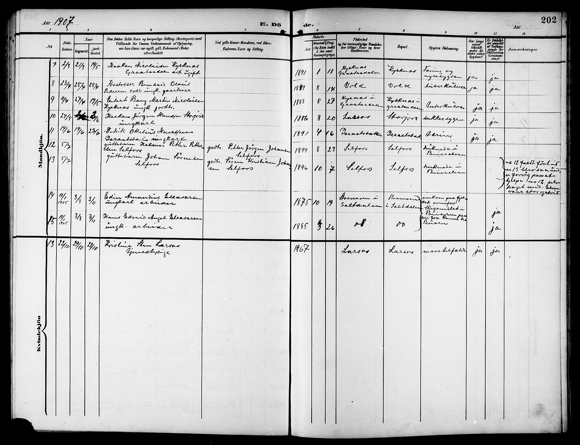 Ministerialprotokoller, klokkerbøker og fødselsregistre - Nordland, AV/SAT-A-1459/846/L0655: Parish register (copy) no. 846C05, 1902-1916, p. 202