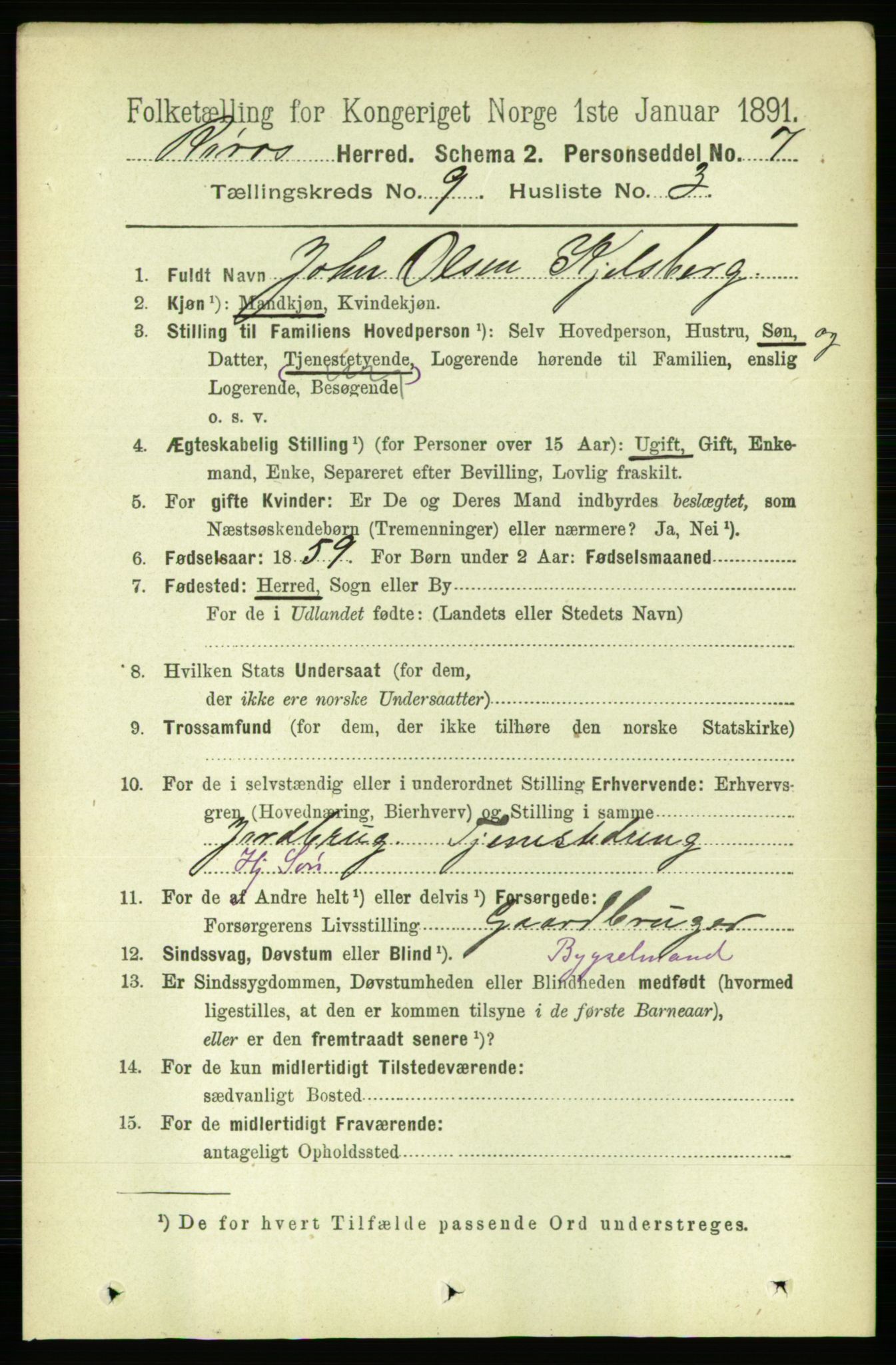 RA, 1891 census for 1640 Røros, 1891, p. 1833