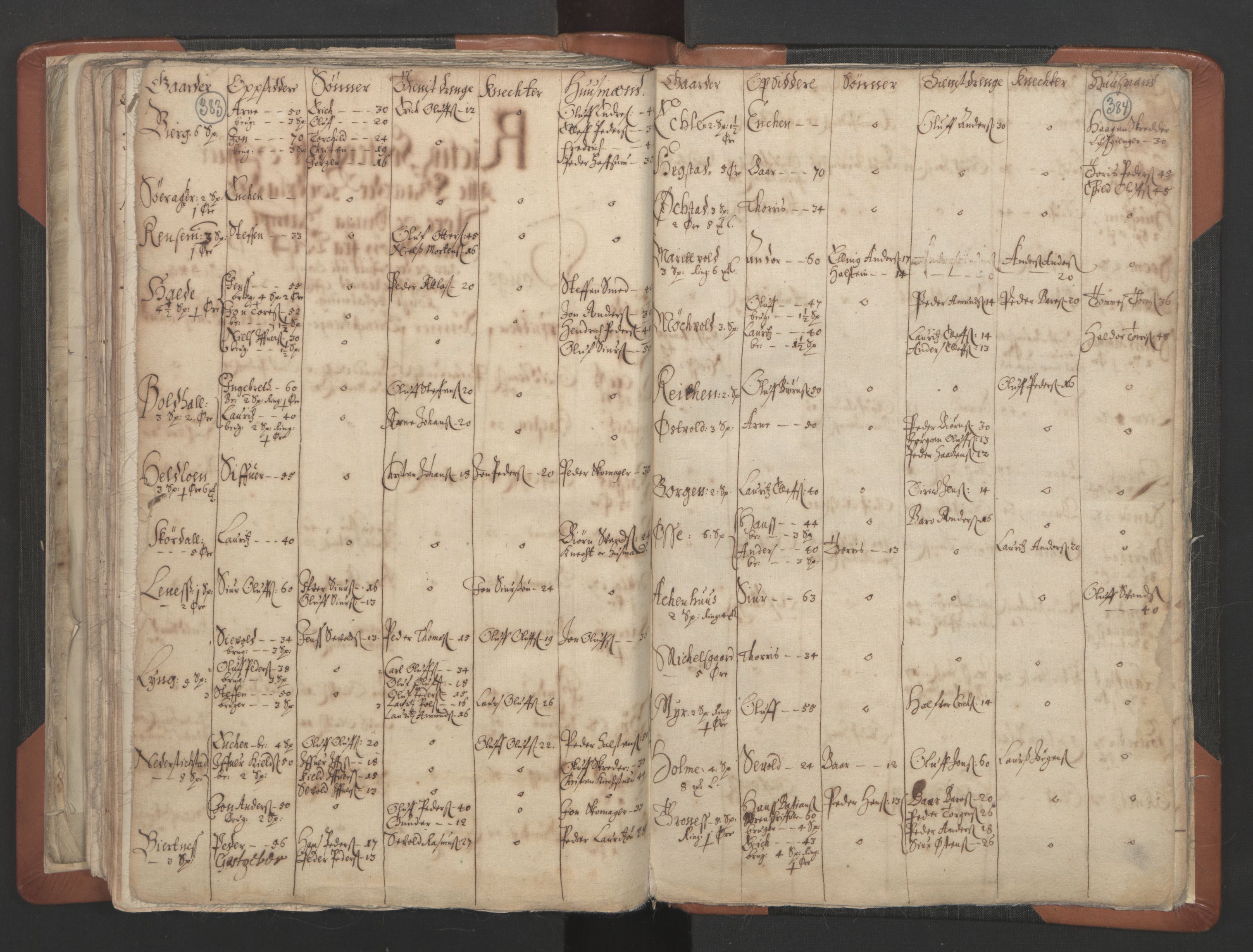 RA, Vicar's Census 1664-1666, no. 32: Innherad deanery, 1664-1666, p. 383-384