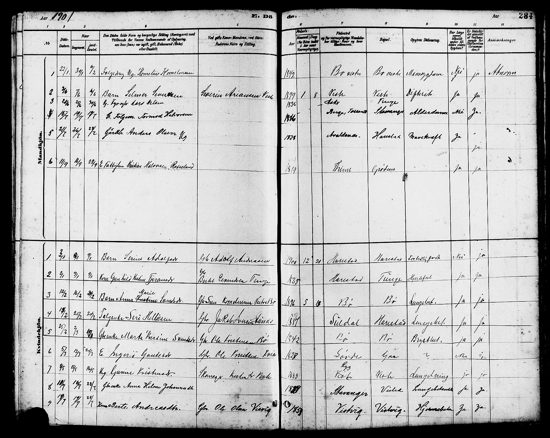 Hetland sokneprestkontor, SAST/A-101826/30/30BB/L0006: Parish register (copy) no. B 6, 1878-1921, p. 284