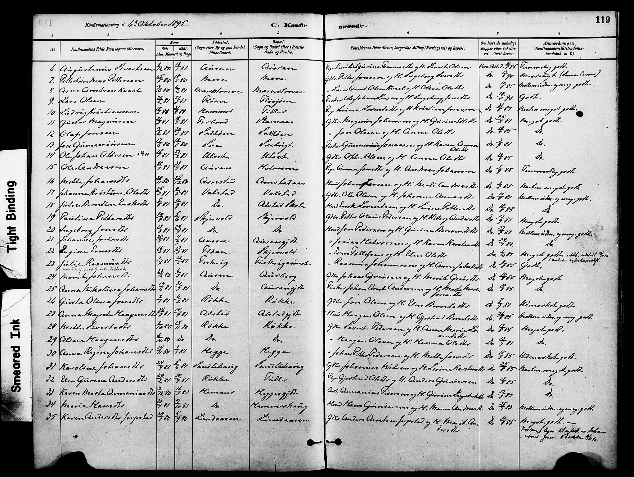 Ministerialprotokoller, klokkerbøker og fødselsregistre - Nord-Trøndelag, SAT/A-1458/712/L0100: Parish register (official) no. 712A01, 1880-1900, p. 119