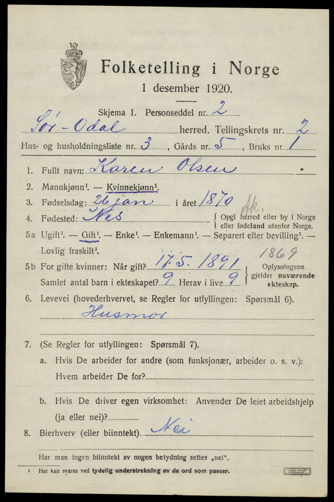 SAH, 1920 census for Sør-Odal, 1920, p. 3005