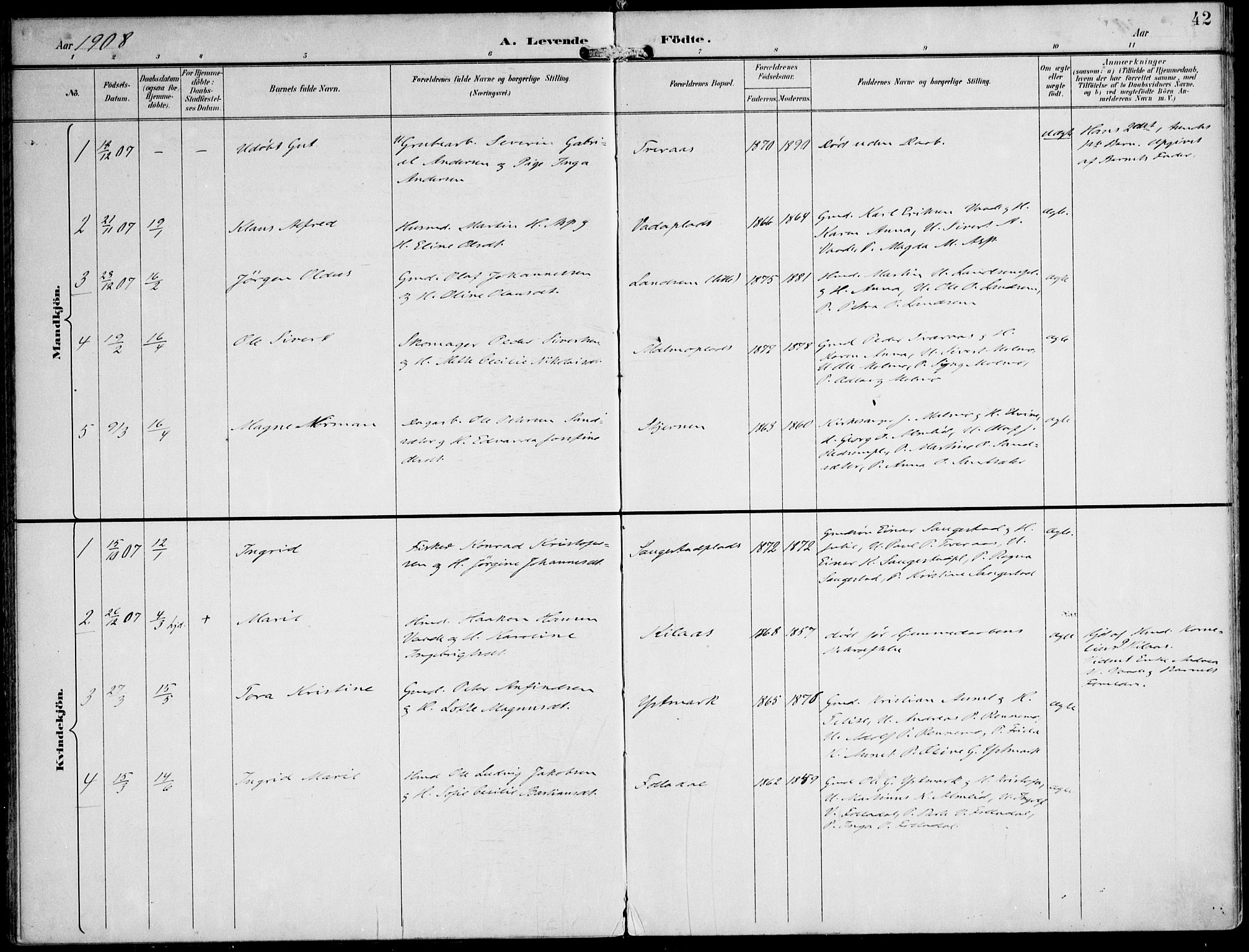 Ministerialprotokoller, klokkerbøker og fødselsregistre - Nord-Trøndelag, AV/SAT-A-1458/745/L0430: Parish register (official) no. 745A02, 1895-1913, p. 42