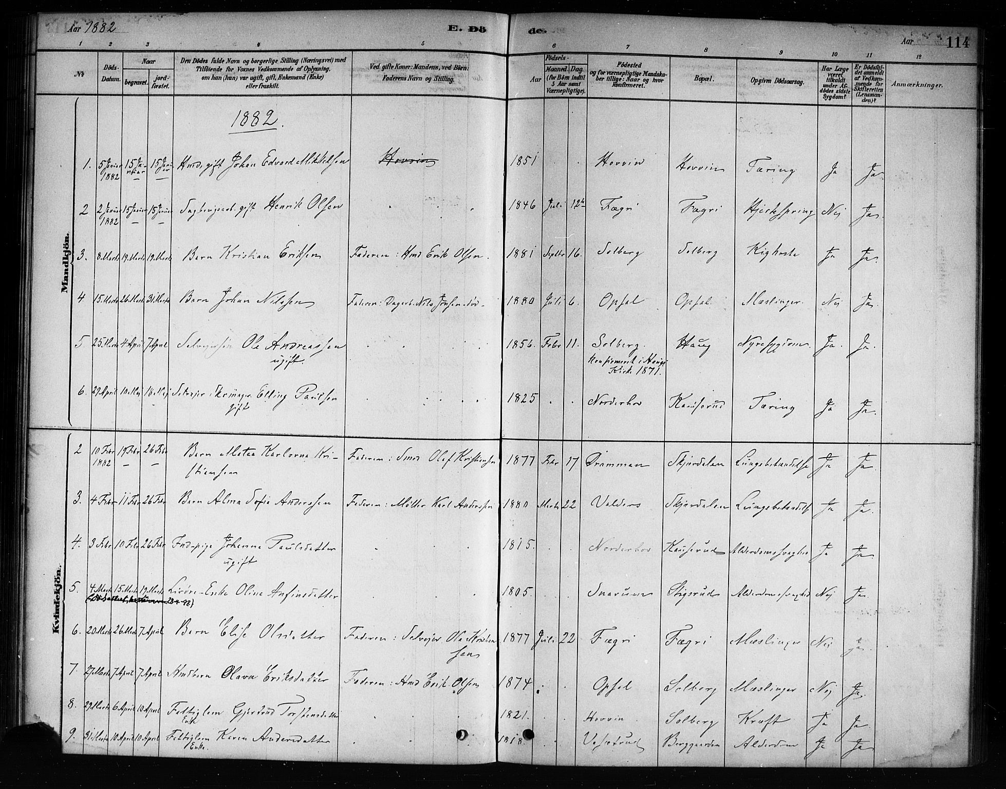 Hole kirkebøker, SAKO/A-228/F/Fb/L0001: Parish register (official) no. II 1, 1878-1891, p. 114