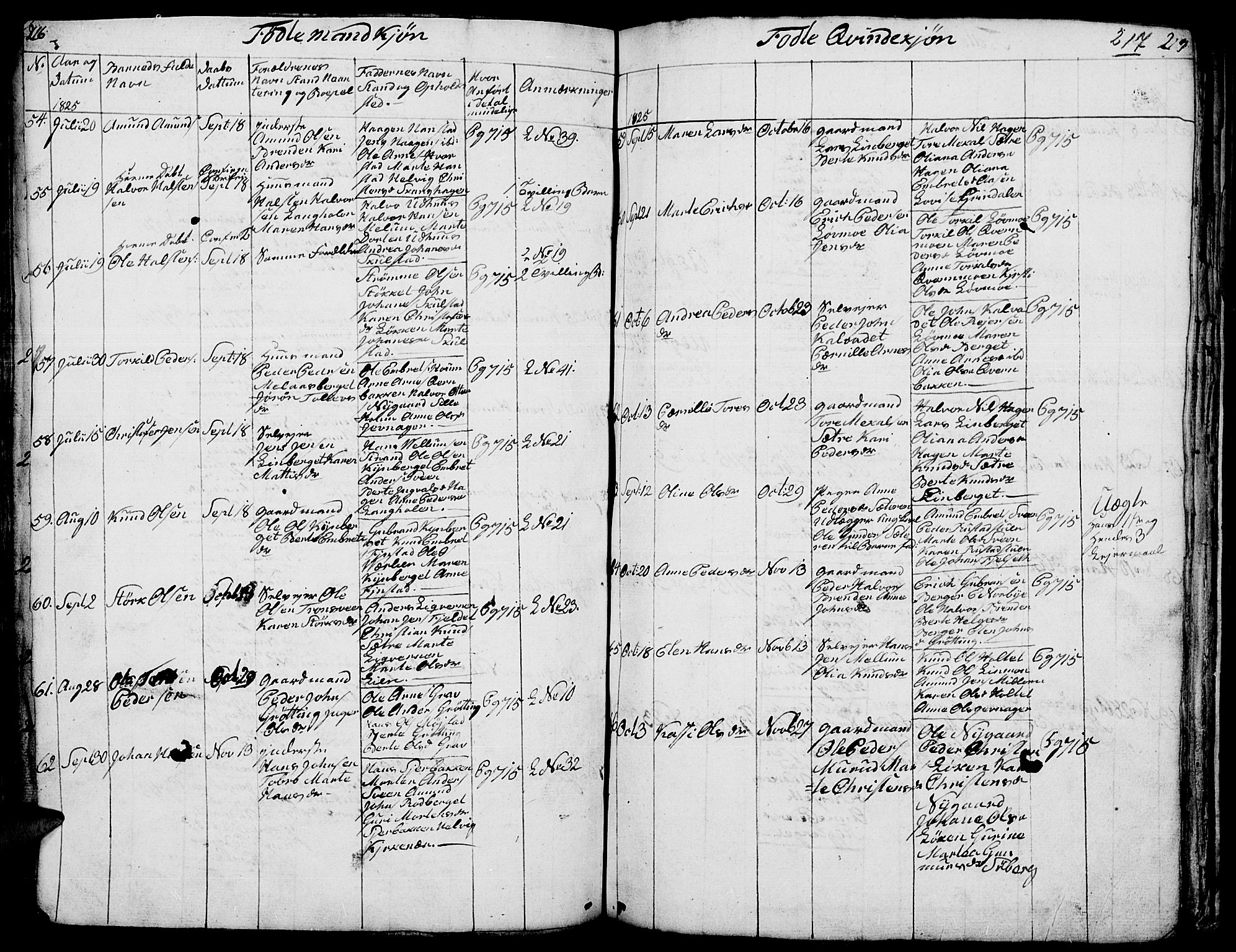 Elverum prestekontor, AV/SAH-PREST-044/H/Ha/Hab/L0001: Parish register (copy) no. 1, 1815-1829, p. 216-217