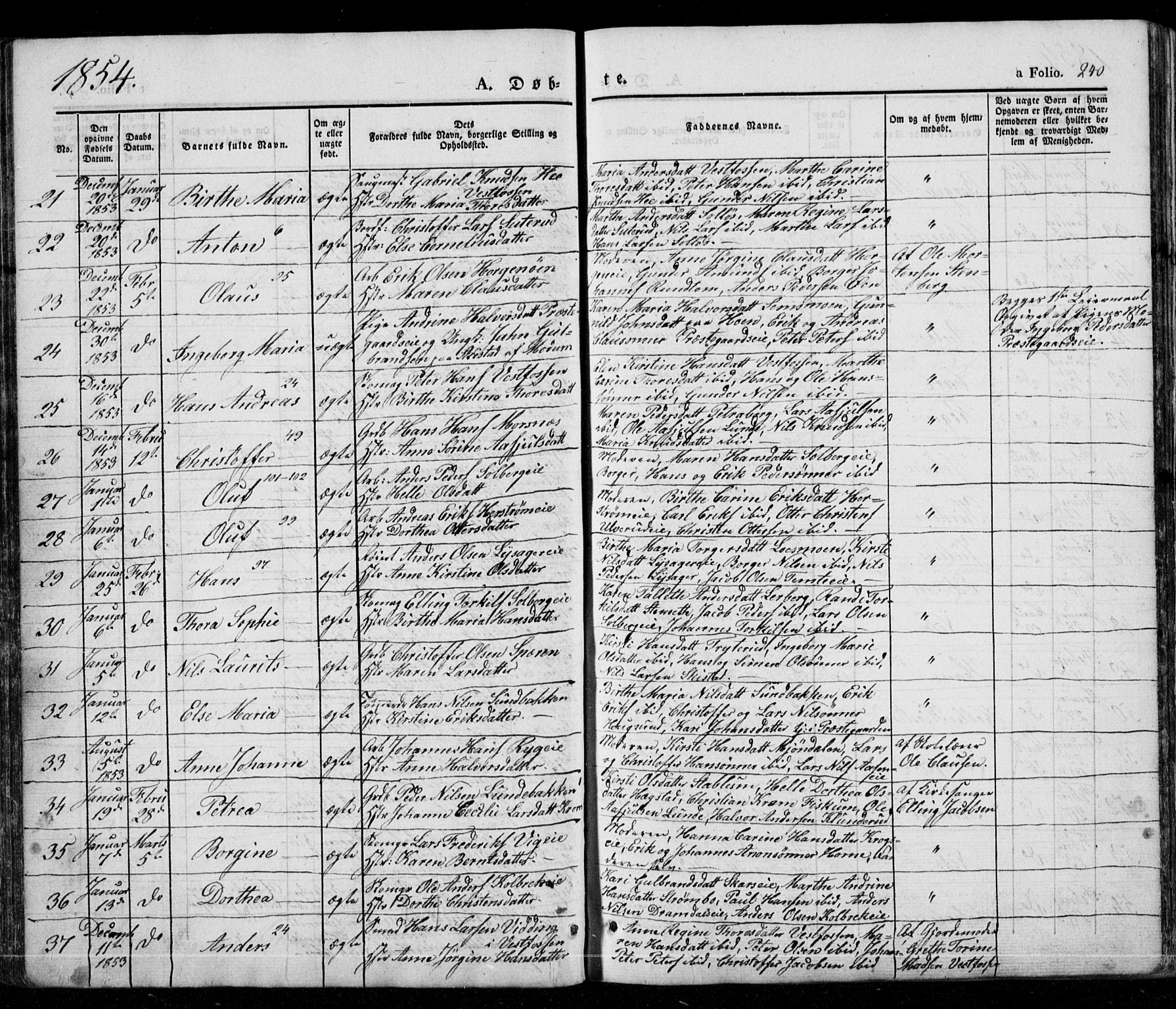 Eiker kirkebøker, AV/SAKO-A-4/G/Ga/L0002: Parish register (copy) no. I 2, 1832-1856, p. 240