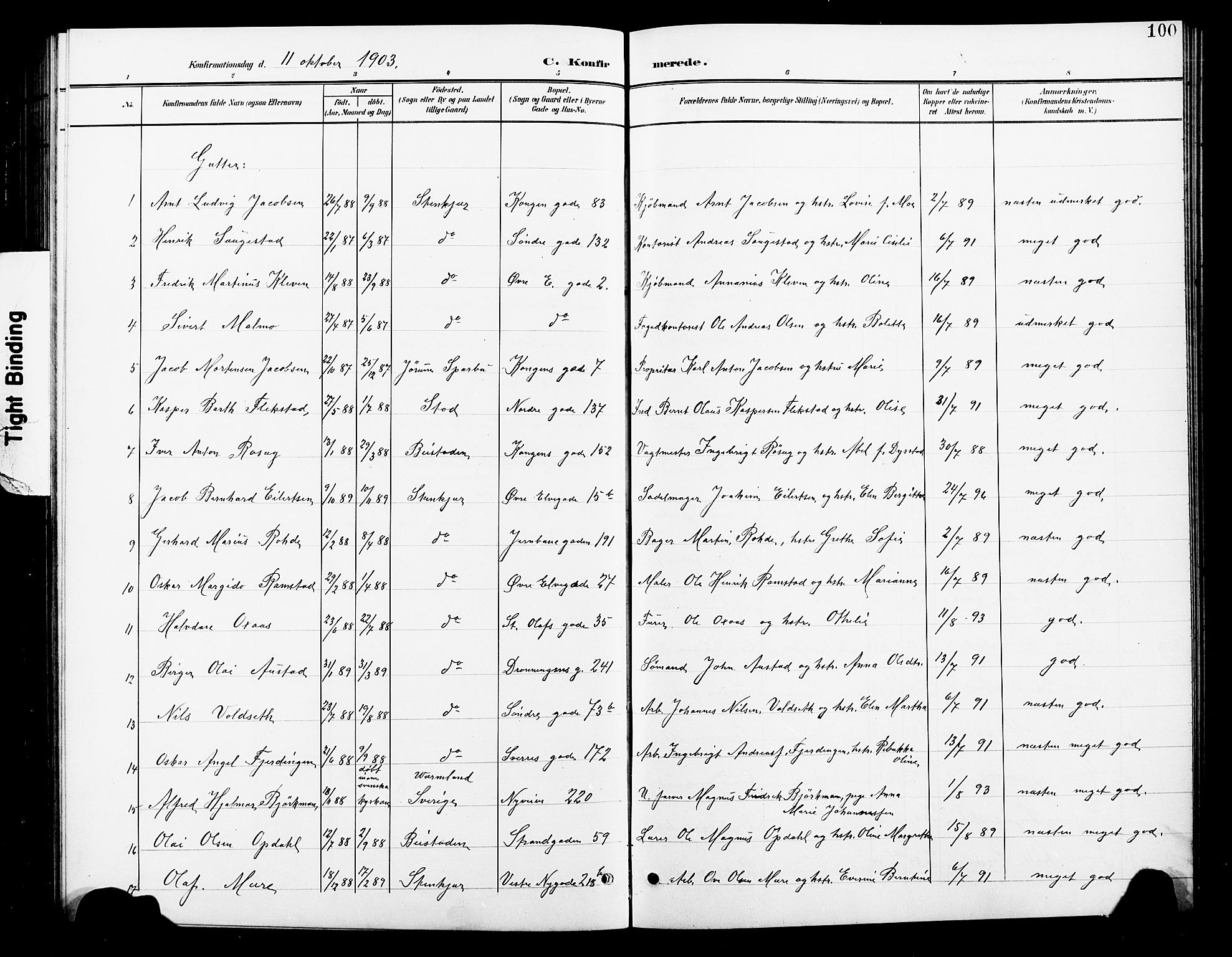 Ministerialprotokoller, klokkerbøker og fødselsregistre - Nord-Trøndelag, SAT/A-1458/739/L0375: Parish register (copy) no. 739C03, 1898-1908, p. 100