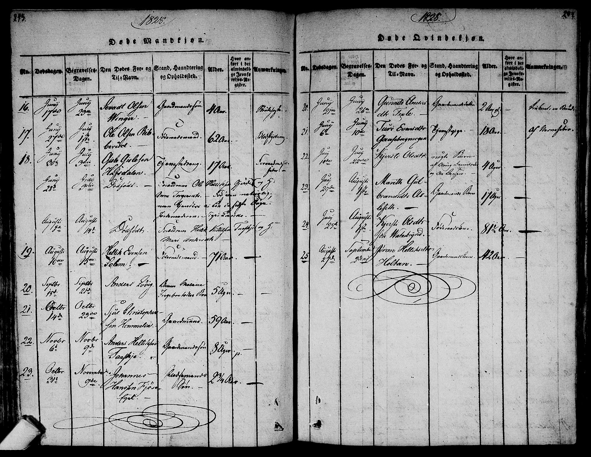 Flesberg kirkebøker, AV/SAKO-A-18/F/Fa/L0005: Parish register (official) no. I 5, 1816-1834, p. 243-244