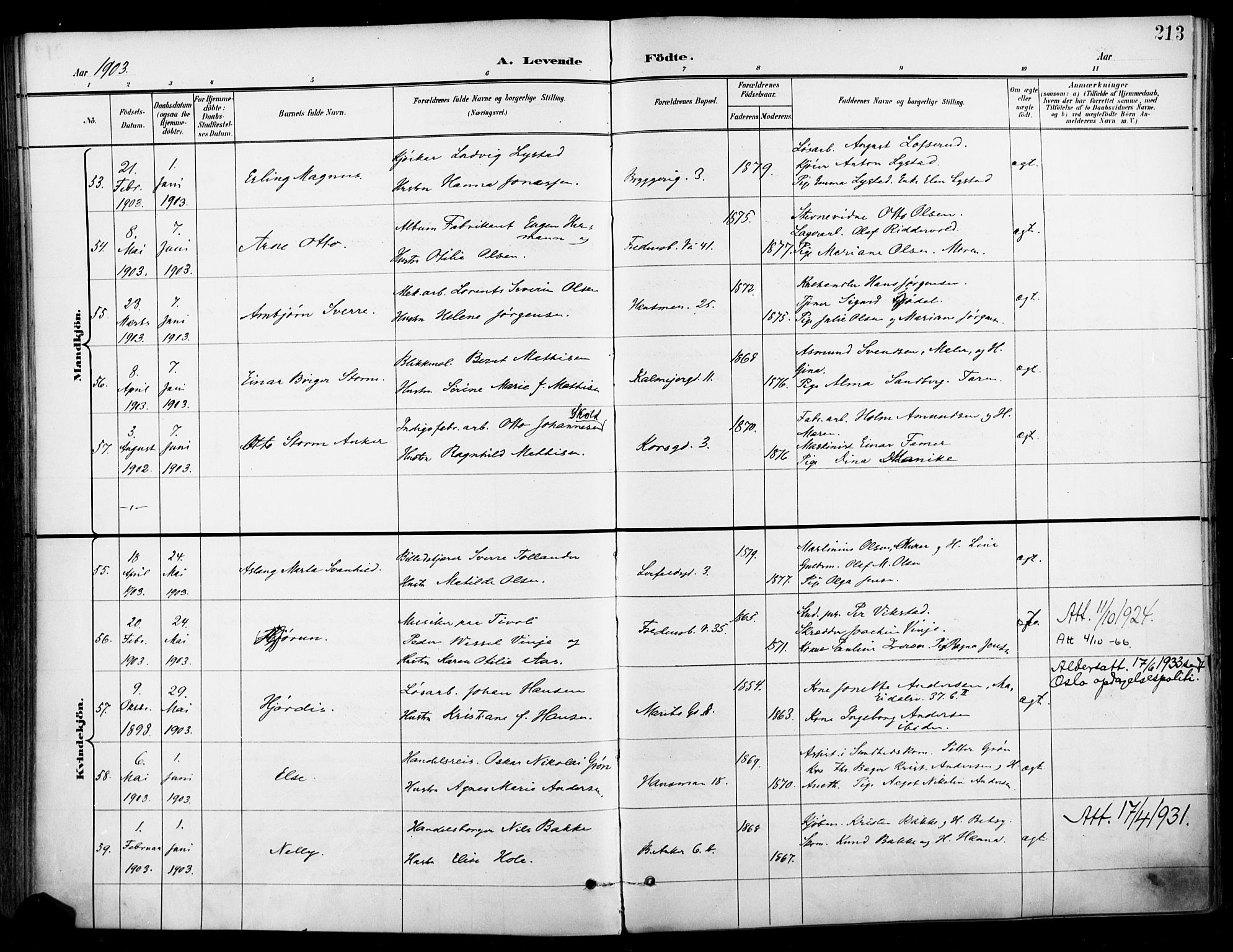 Jakob prestekontor Kirkebøker, SAO/A-10850/F/Fa/L0005: Parish register (official) no. 5, 1896-1903, p. 213