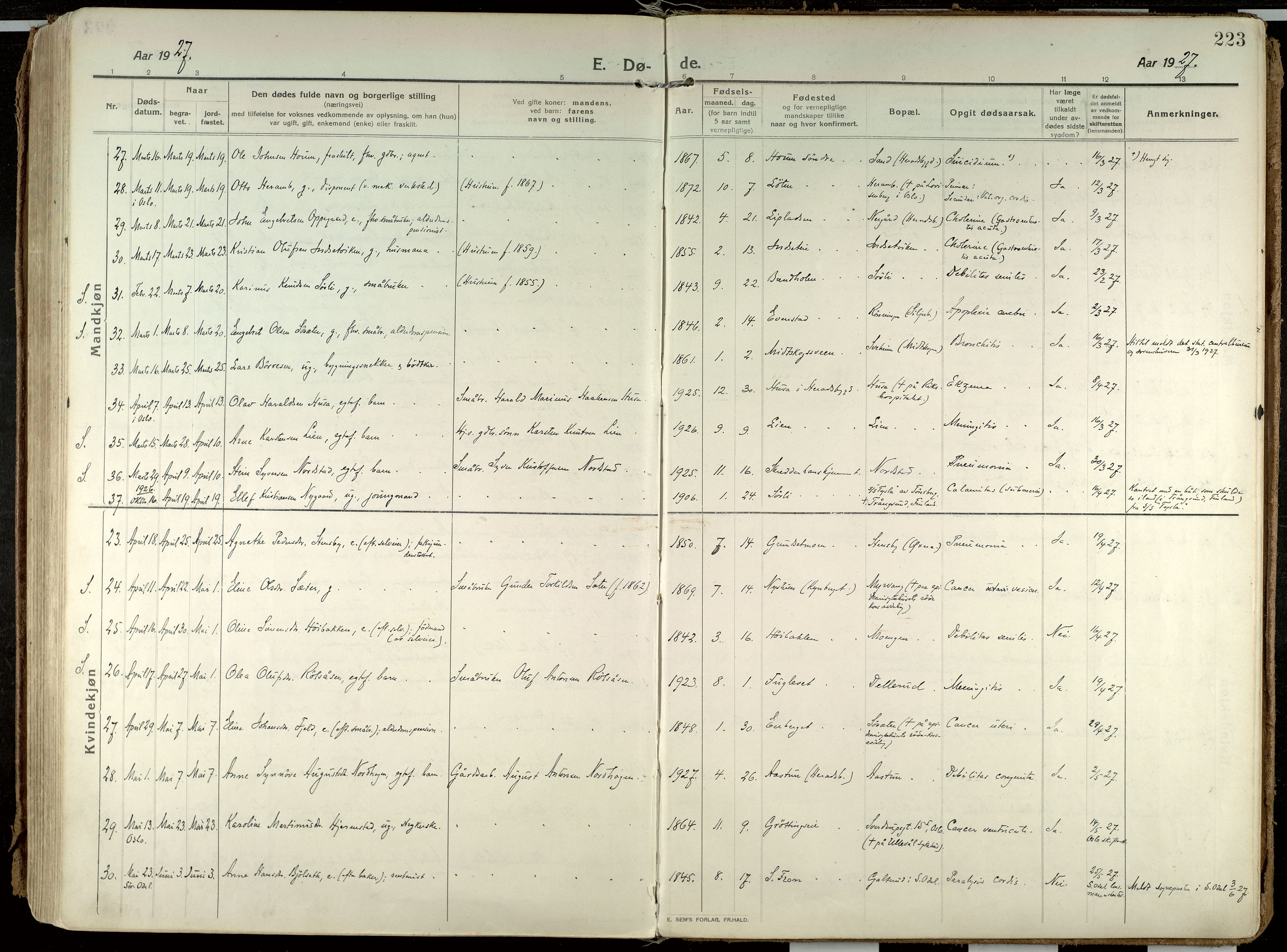 Elverum prestekontor, AV/SAH-PREST-044/H/Ha/Haa/L0021: Parish register (official) no. 21, 1913-1928, p. 223