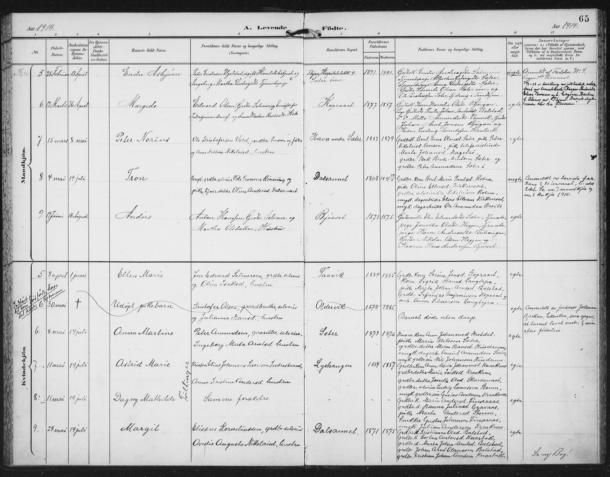 Ministerialprotokoller, klokkerbøker og fødselsregistre - Nord-Trøndelag, SAT/A-1458/702/L0024: Parish register (official) no. 702A02, 1898-1914, p. 65