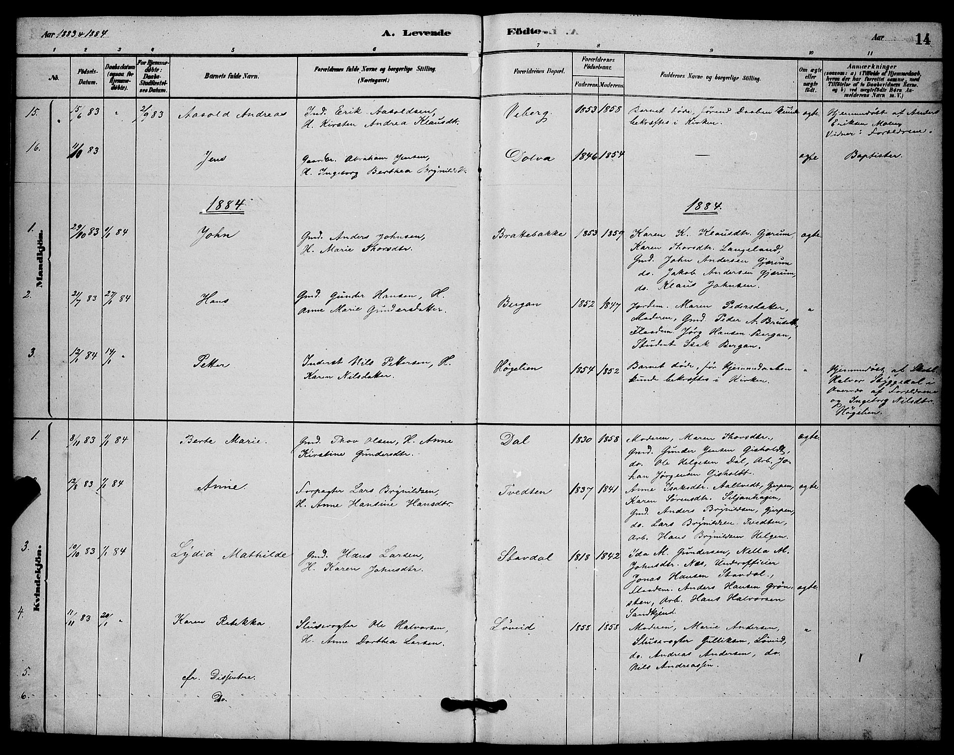 Solum kirkebøker, SAKO/A-306/G/Gb/L0003: Parish register (copy) no. II 3, 1880-1898, p. 14