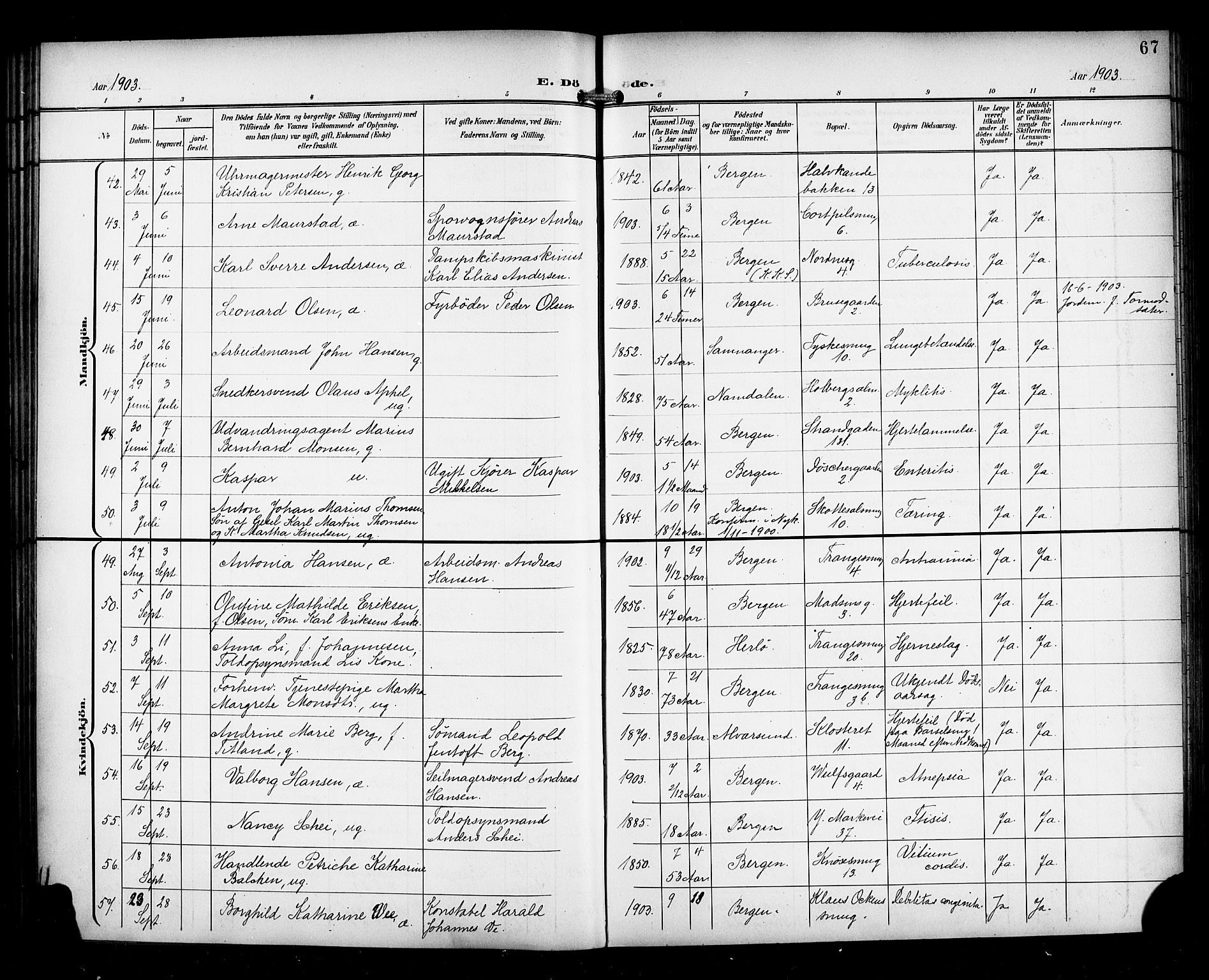 Nykirken Sokneprestembete, AV/SAB-A-77101/H/Haa/L0045: Parish register (official) no. E 5, 1899-1917, p. 67