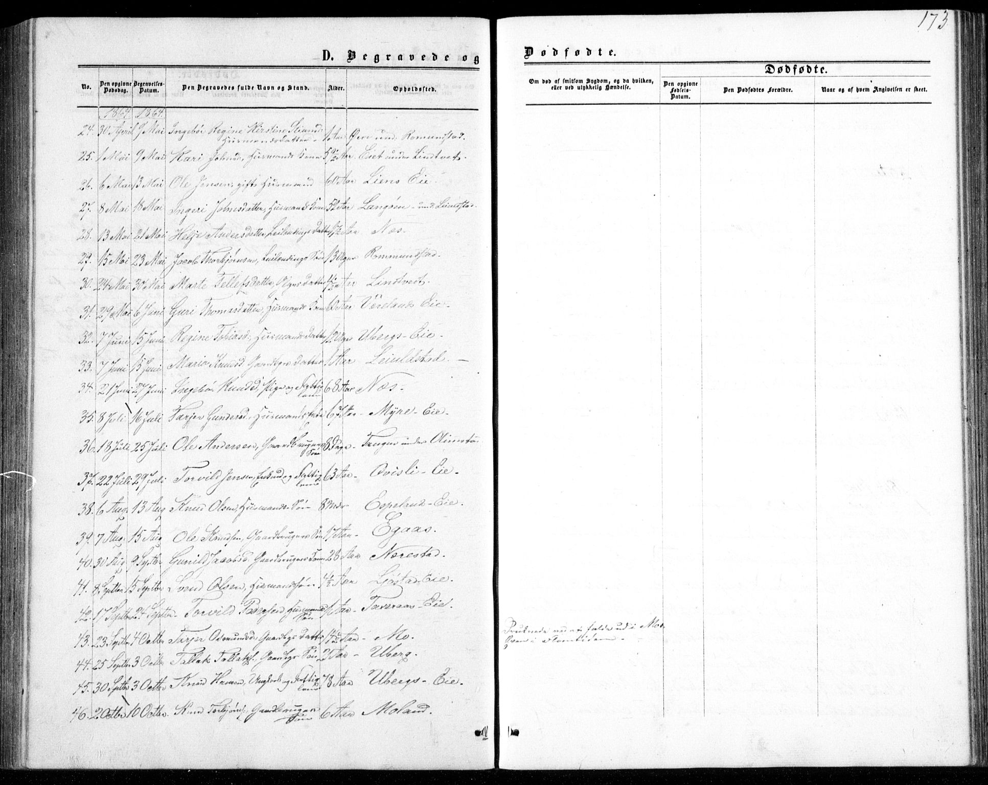 Gjerstad sokneprestkontor, AV/SAK-1111-0014/F/Fb/Fbb/L0003: Parish register (copy) no. B 3, 1862-1889, p. 173