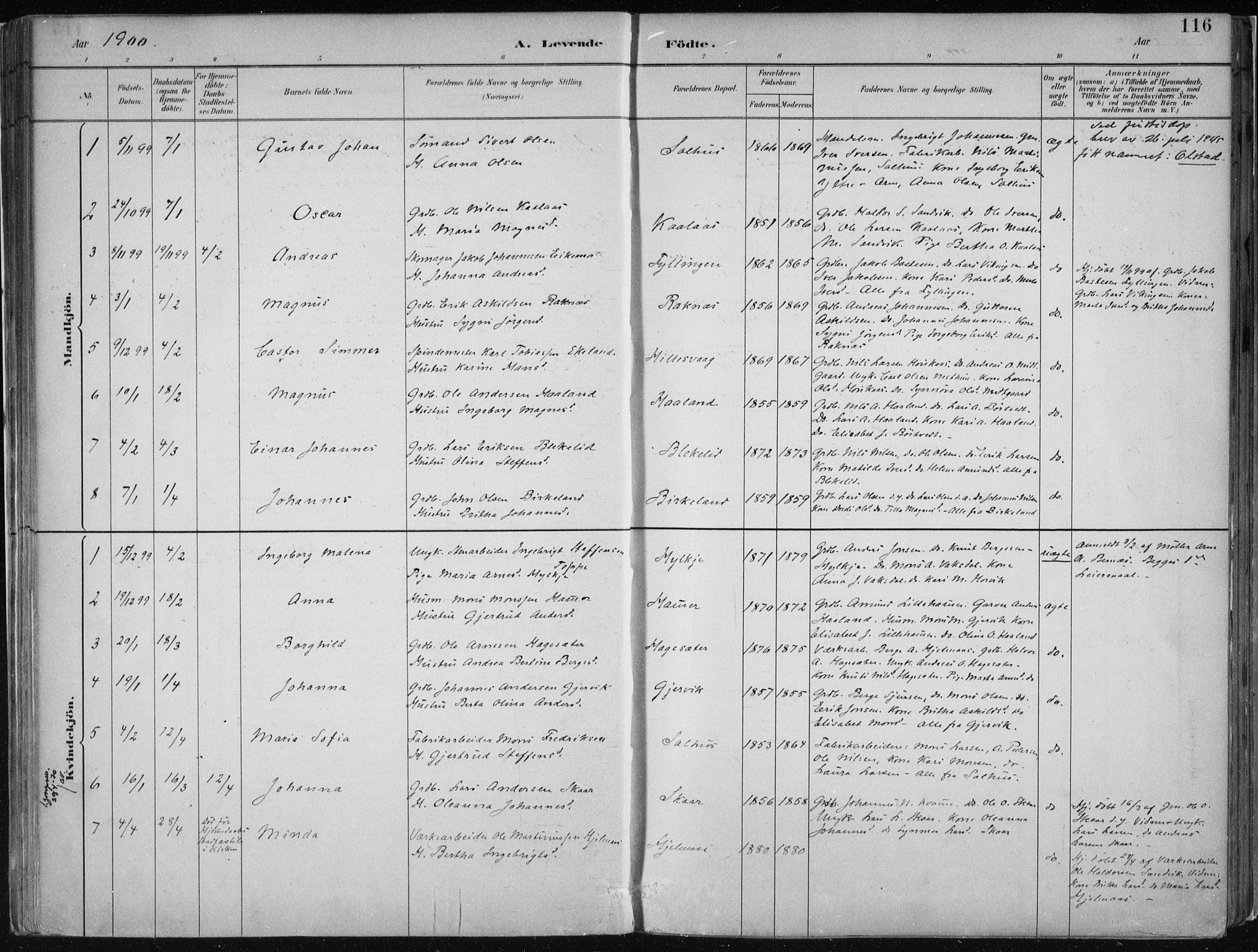 Hamre sokneprestembete, SAB/A-75501/H/Ha/Haa/Haab/L0001: Parish register (official) no. B  1, 1882-1905, p. 116