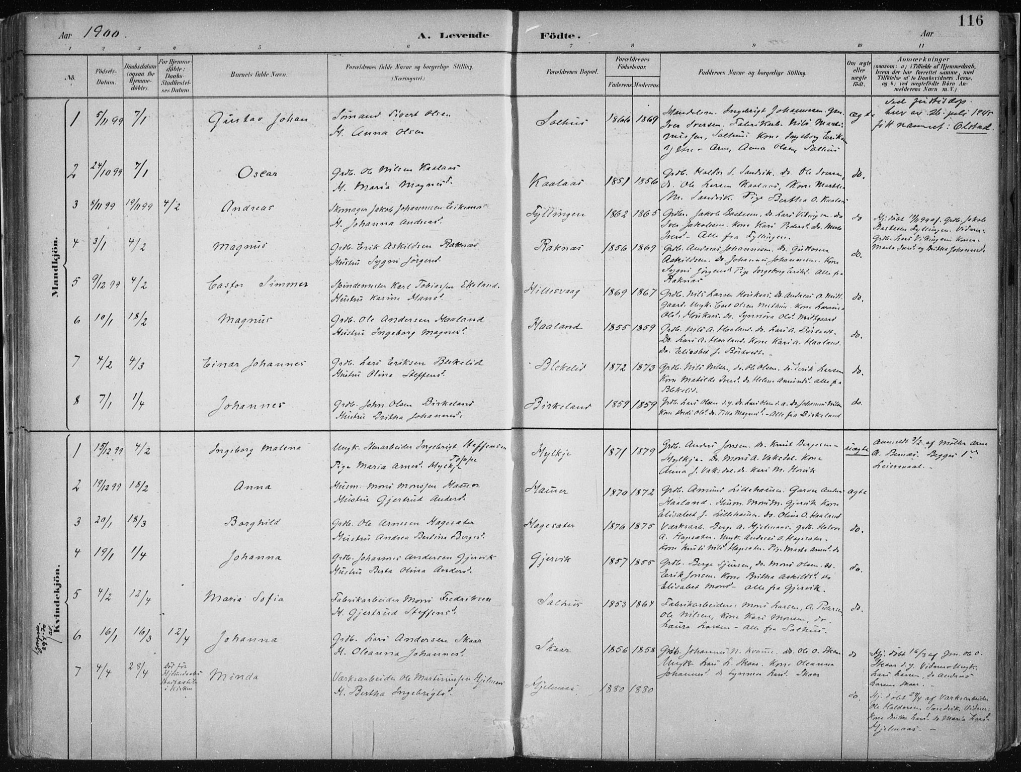 Hamre sokneprestembete, AV/SAB-A-75501/H/Ha/Haa/Haab/L0001: Parish register (official) no. B  1, 1882-1905, p. 116