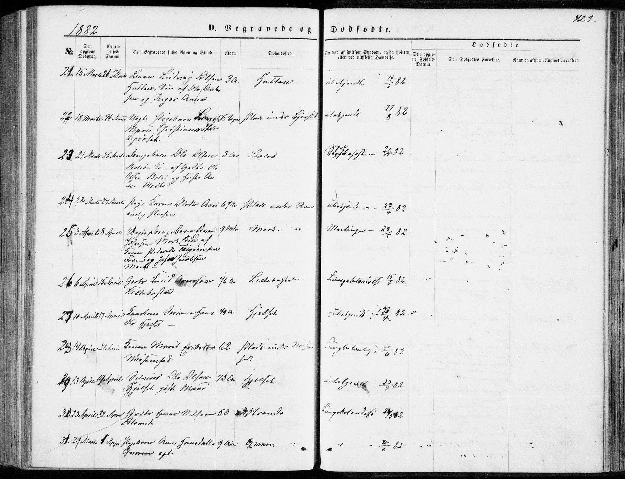 Ministerialprotokoller, klokkerbøker og fødselsregistre - Møre og Romsdal, AV/SAT-A-1454/555/L0655: Parish register (official) no. 555A05, 1869-1886, p. 423