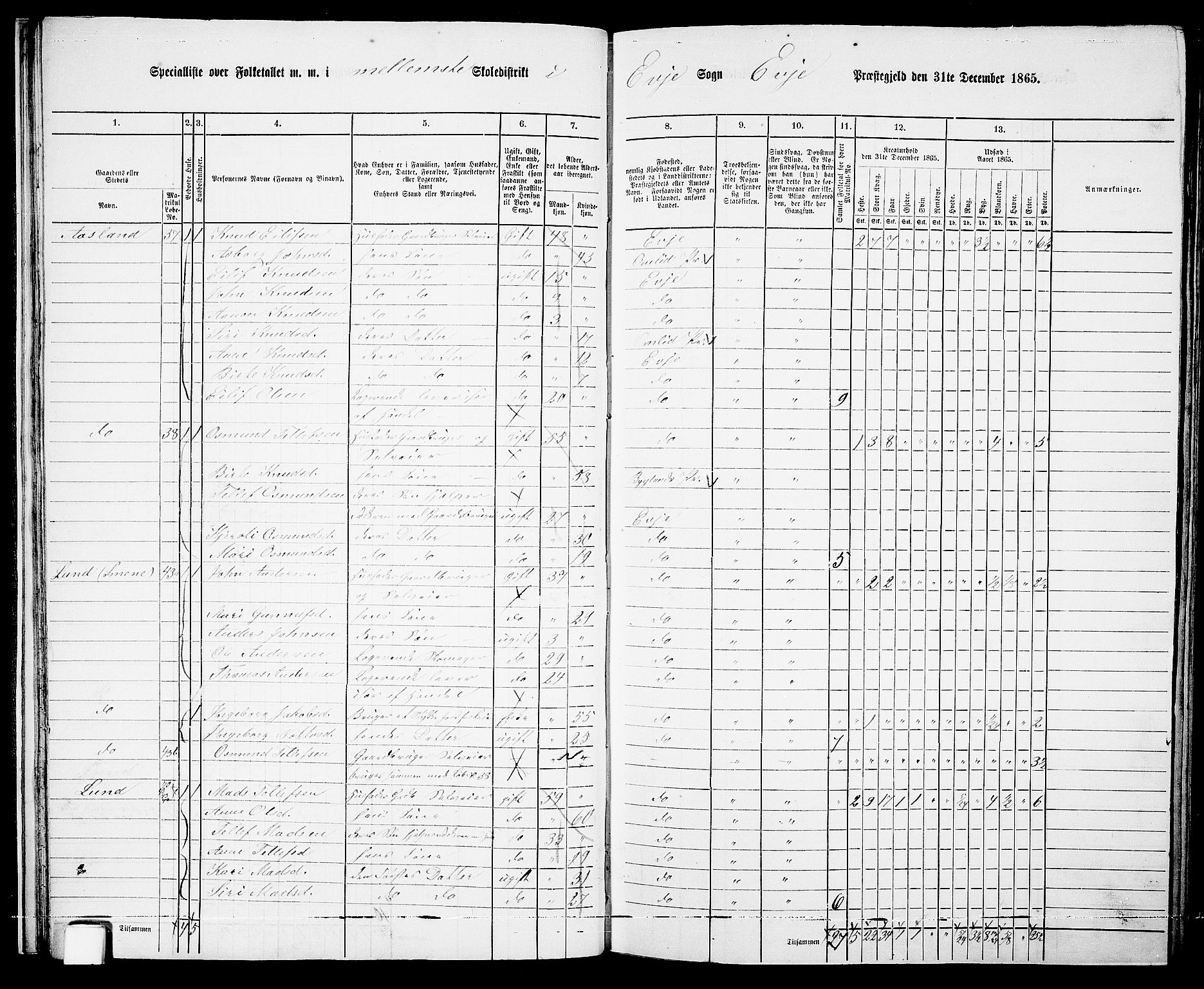 RA, 1865 census for Evje, 1865, p. 24