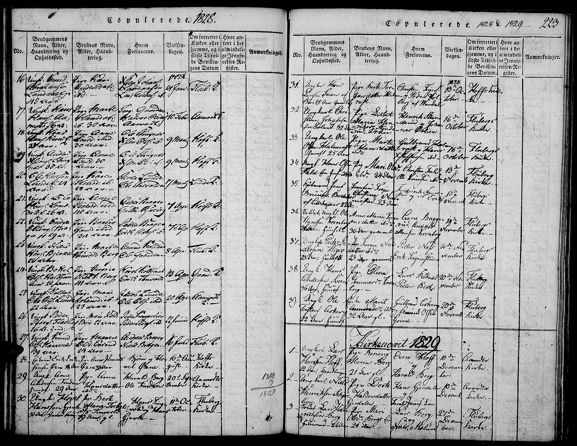 Land prestekontor, SAH/PREST-120/H/Ha/Haa/L0007: Parish register (official) no. 7, 1814-1830, p. 223