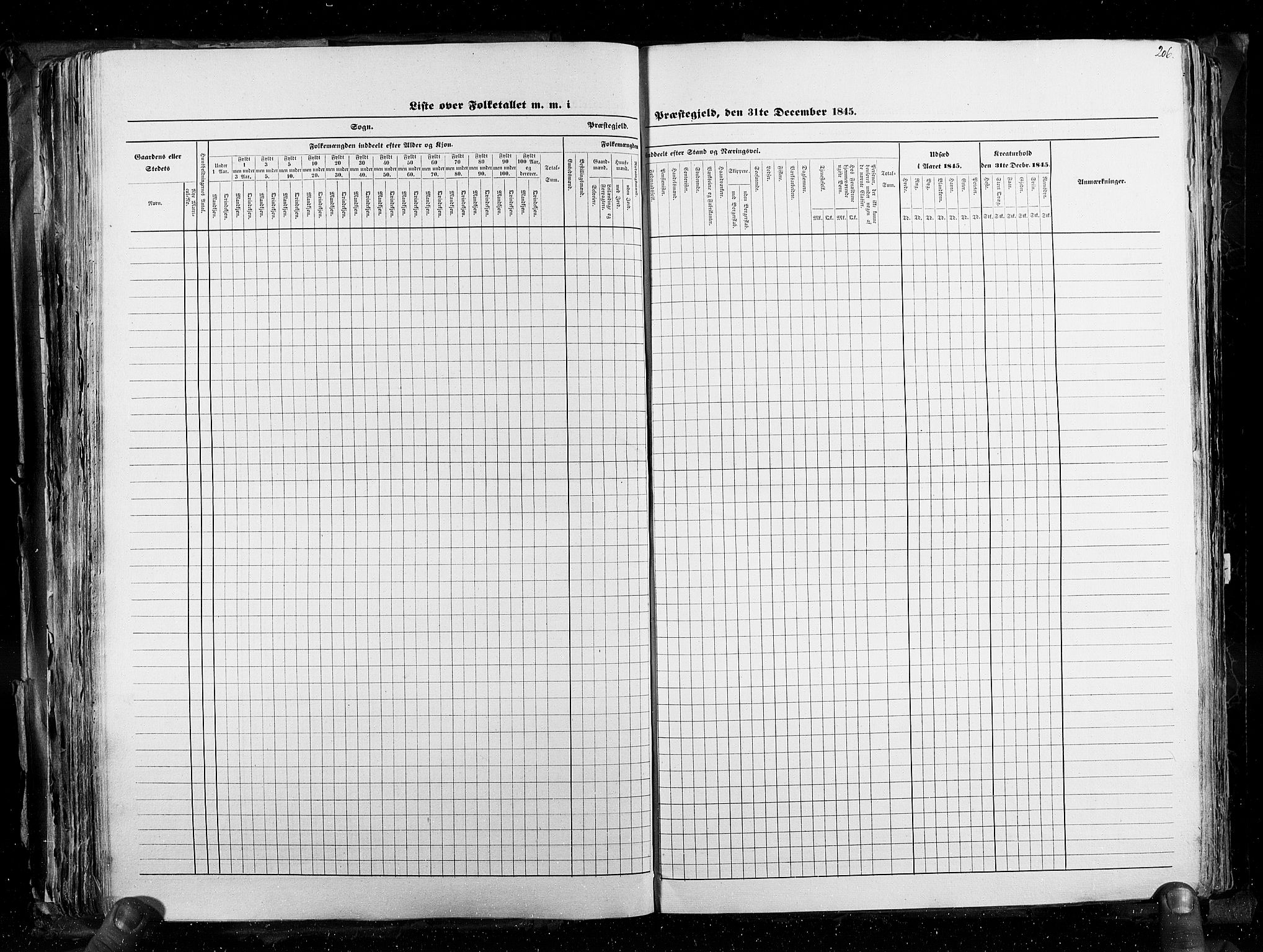 RA, Census 1845, vol. 3: Hedemarken amt og Kristians amt, 1845, p. 206