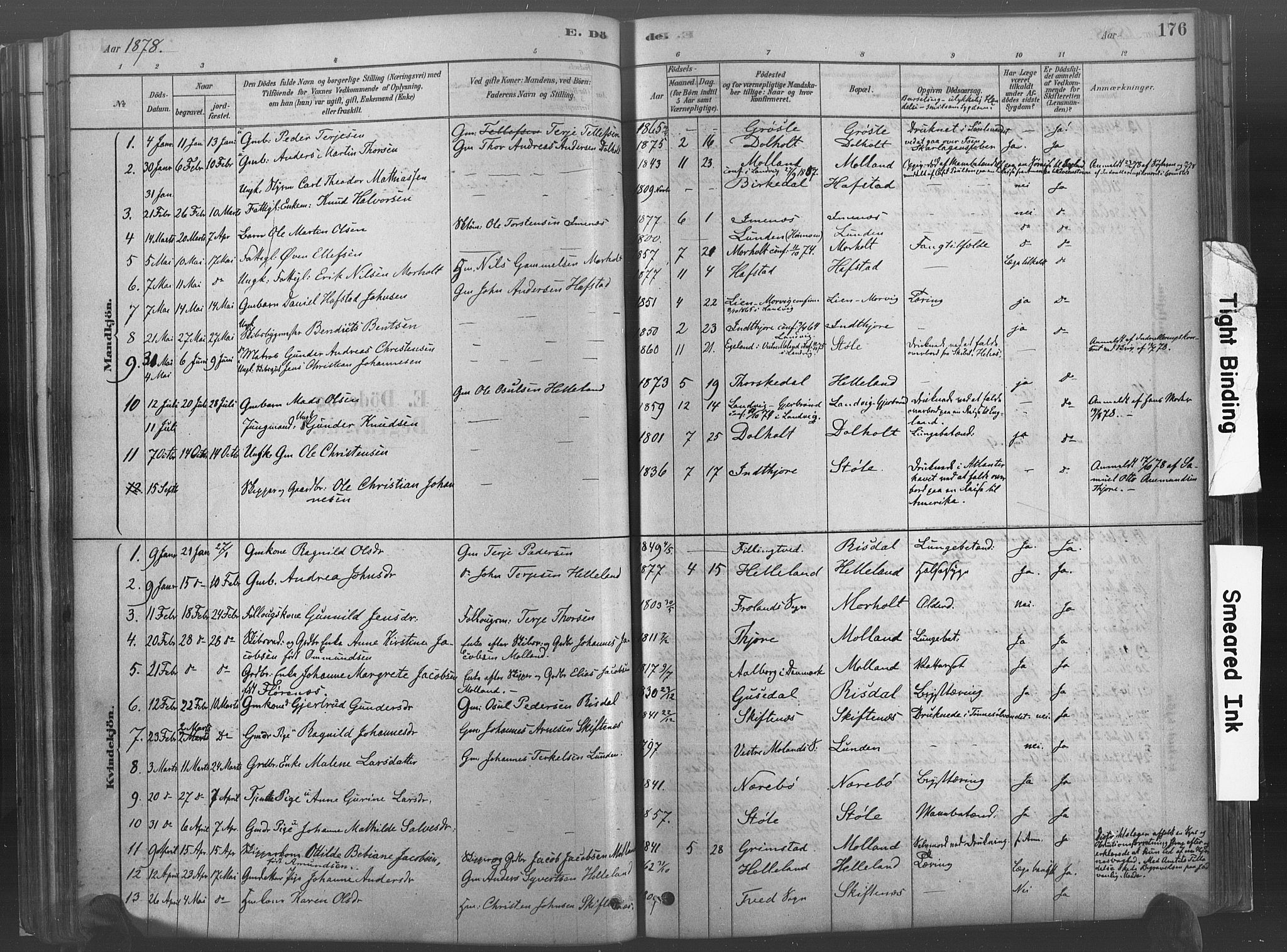 Hommedal sokneprestkontor, SAK/1111-0023/F/Fa/Fab/L0006: Parish register (official) no. A 6, 1878-1897, p. 176