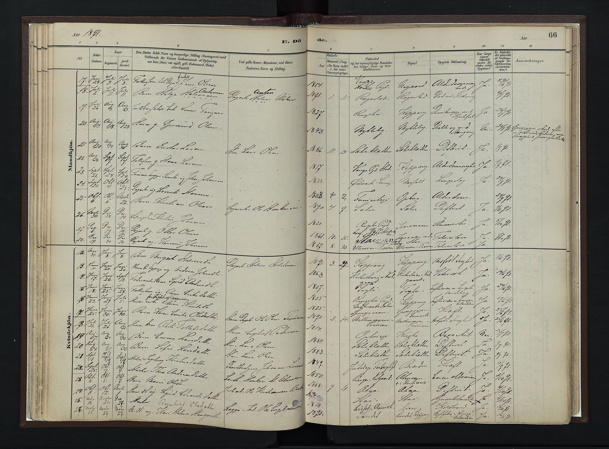 Stor-Elvdal prestekontor, SAH/PREST-052/H/Ha/Haa/L0003: Parish register (official) no. 3, 1882-1901, p. 66