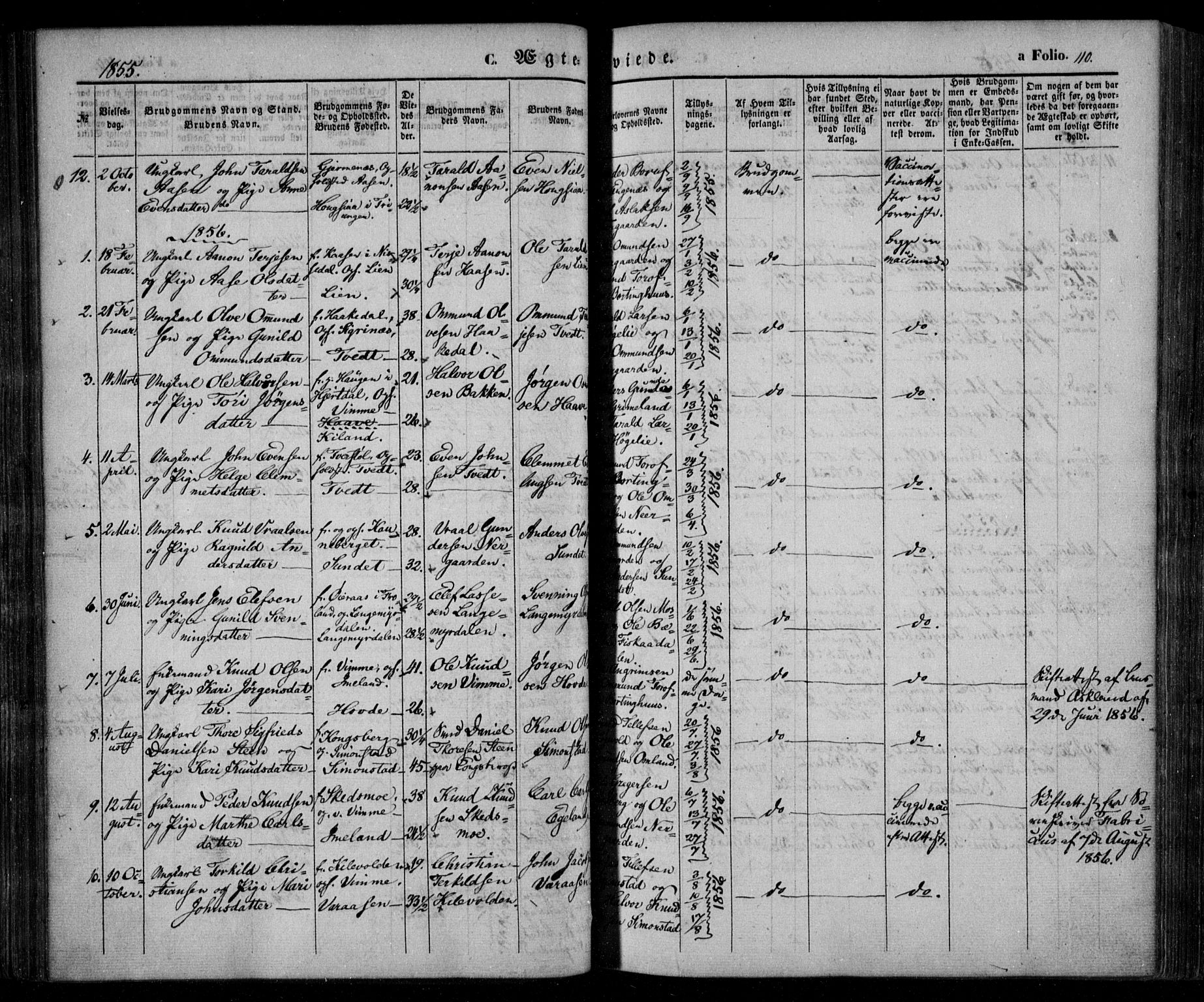 Åmli sokneprestkontor, AV/SAK-1111-0050/F/Fa/Fac/L0008: Parish register (official) no. A 8, 1852-1869, p. 110