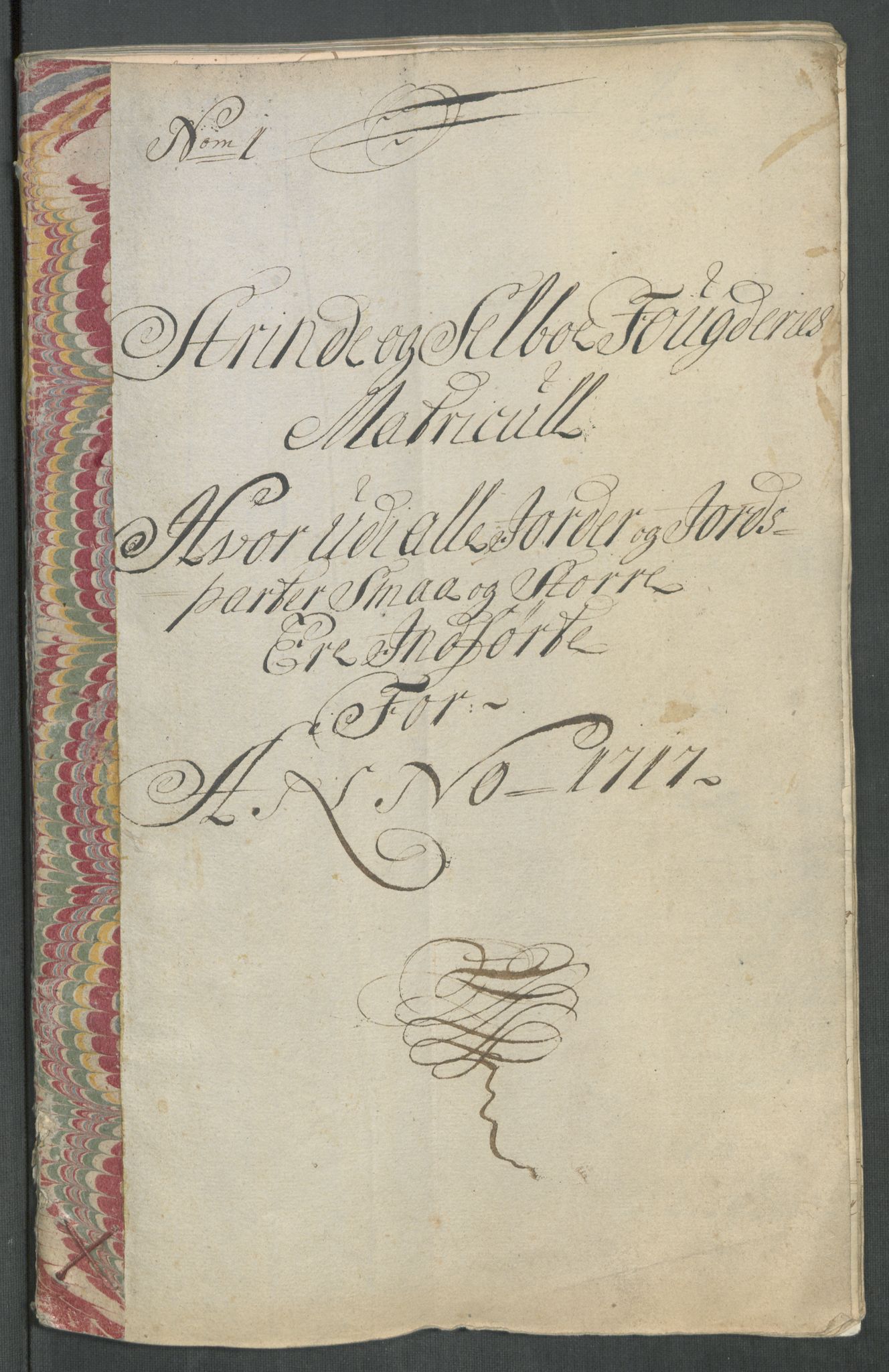 Rentekammeret inntil 1814, Reviderte regnskaper, Fogderegnskap, AV/RA-EA-4092/R61/L4116: Fogderegnskap Strinda og Selbu, 1717-1718, p. 21