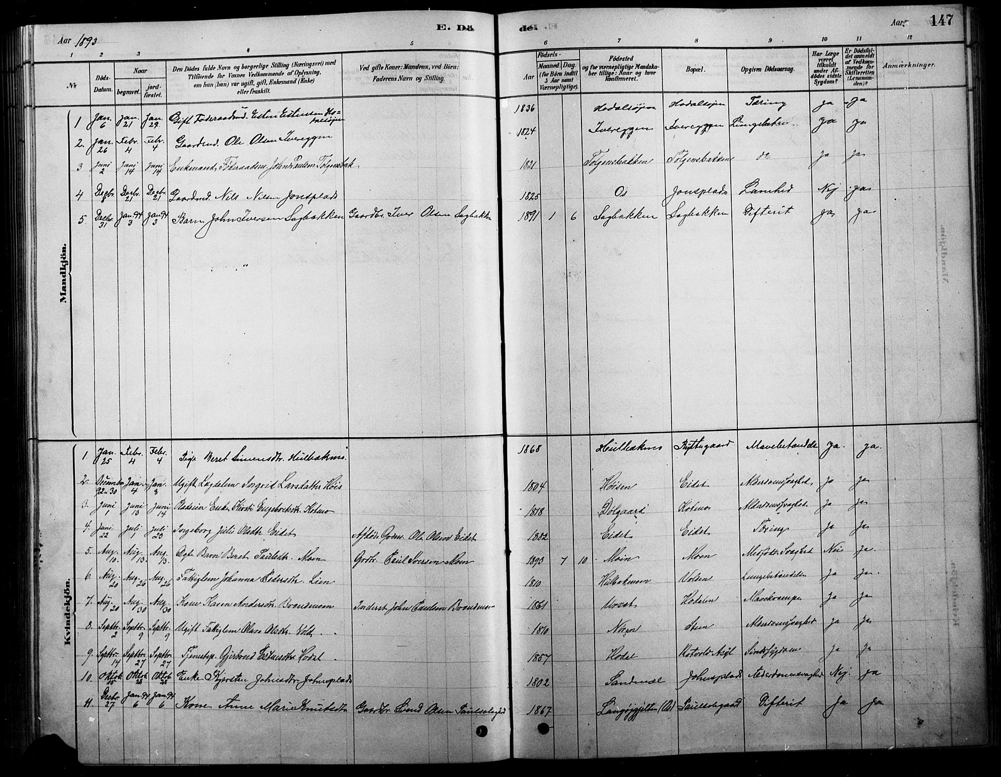 Tolga prestekontor, SAH/PREST-062/L/L0007: Parish register (copy) no. 7, 1878-1919, p. 147