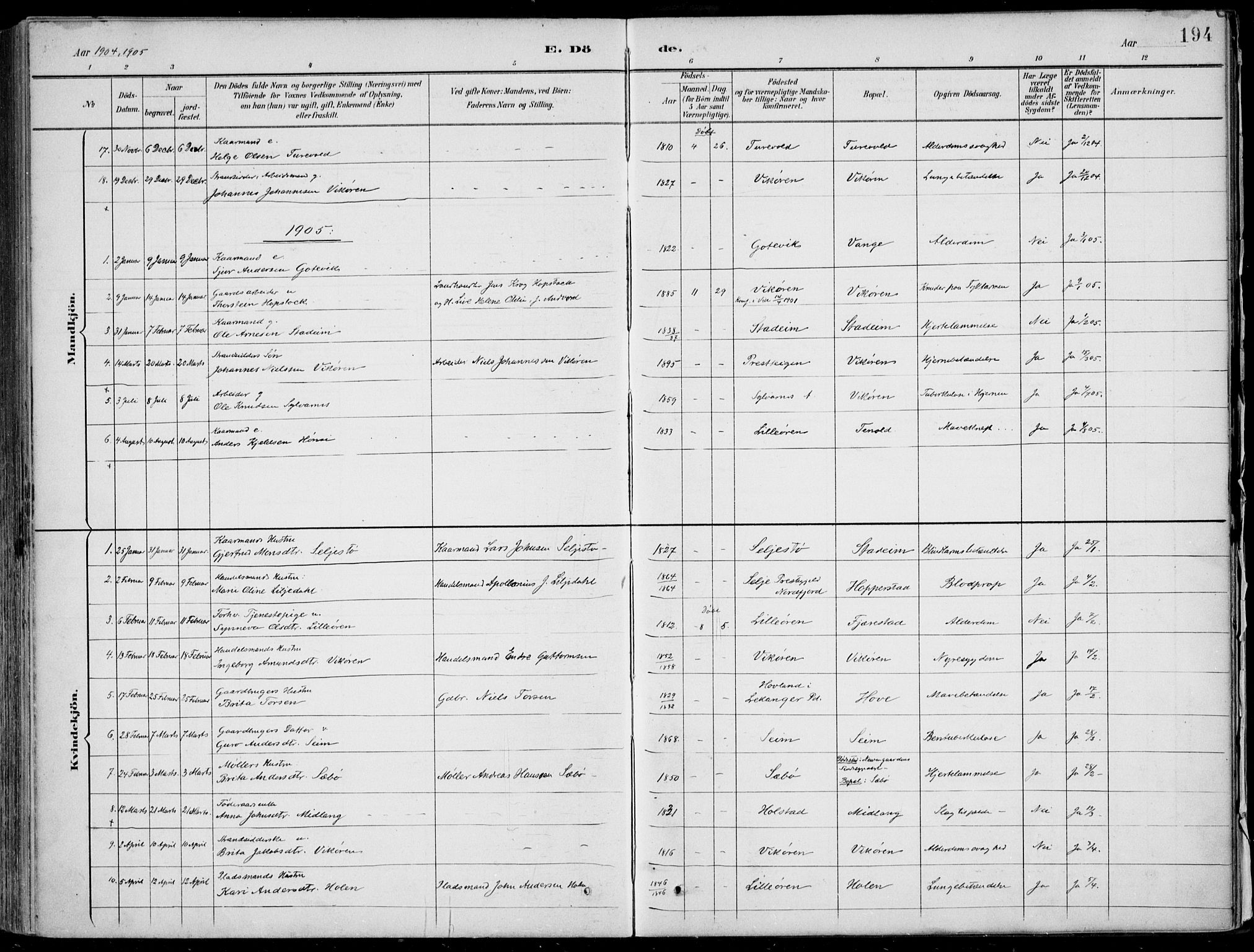 Vik sokneprestembete, AV/SAB-A-81501/H/Haa/Haab/L0002: Parish register (official) no. B  2, 1891-1907, p. 194