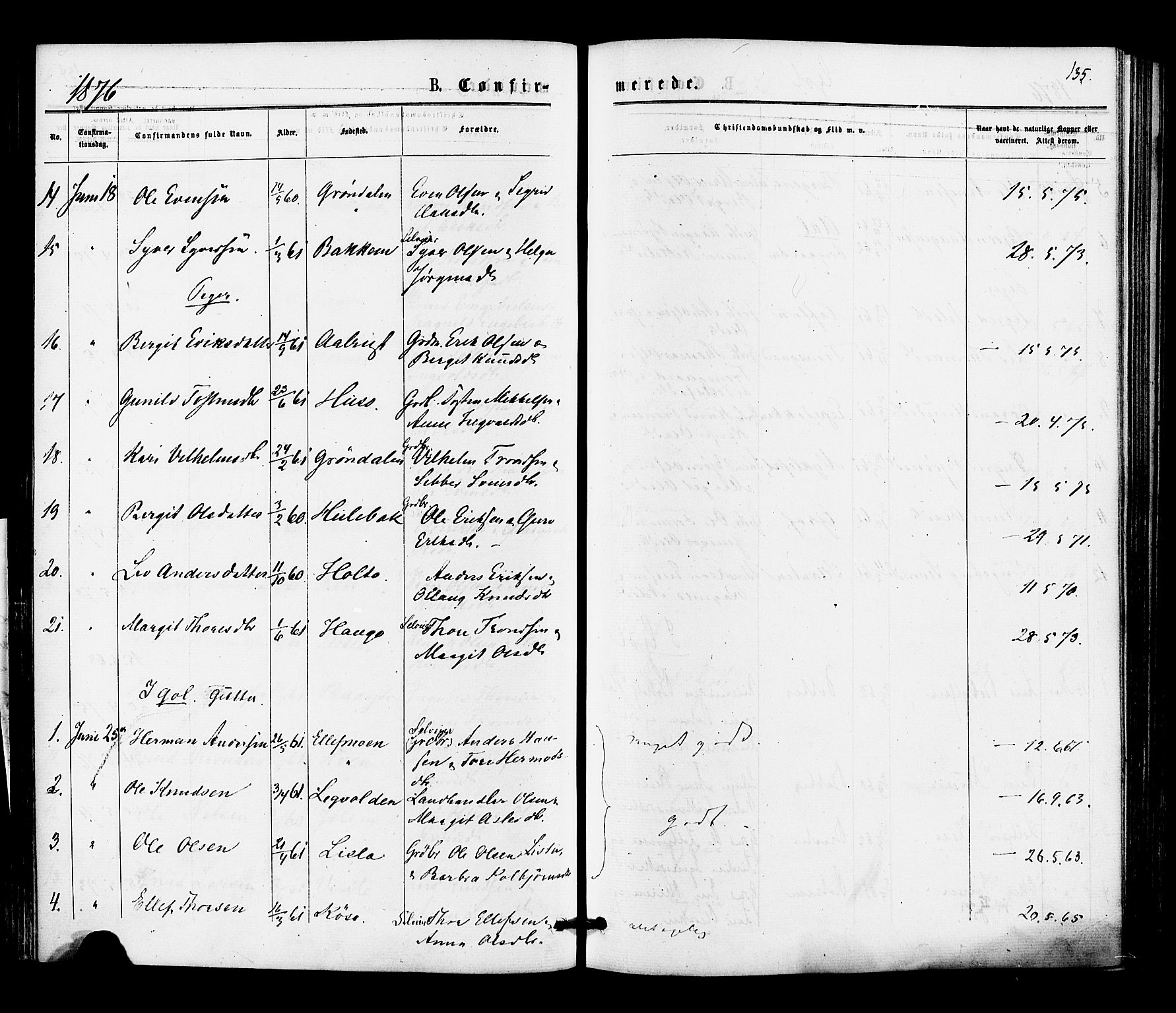 Gol kirkebøker, AV/SAKO-A-226/F/Fa/L0004: Parish register (official) no. I 4, 1876-1886, p. 135
