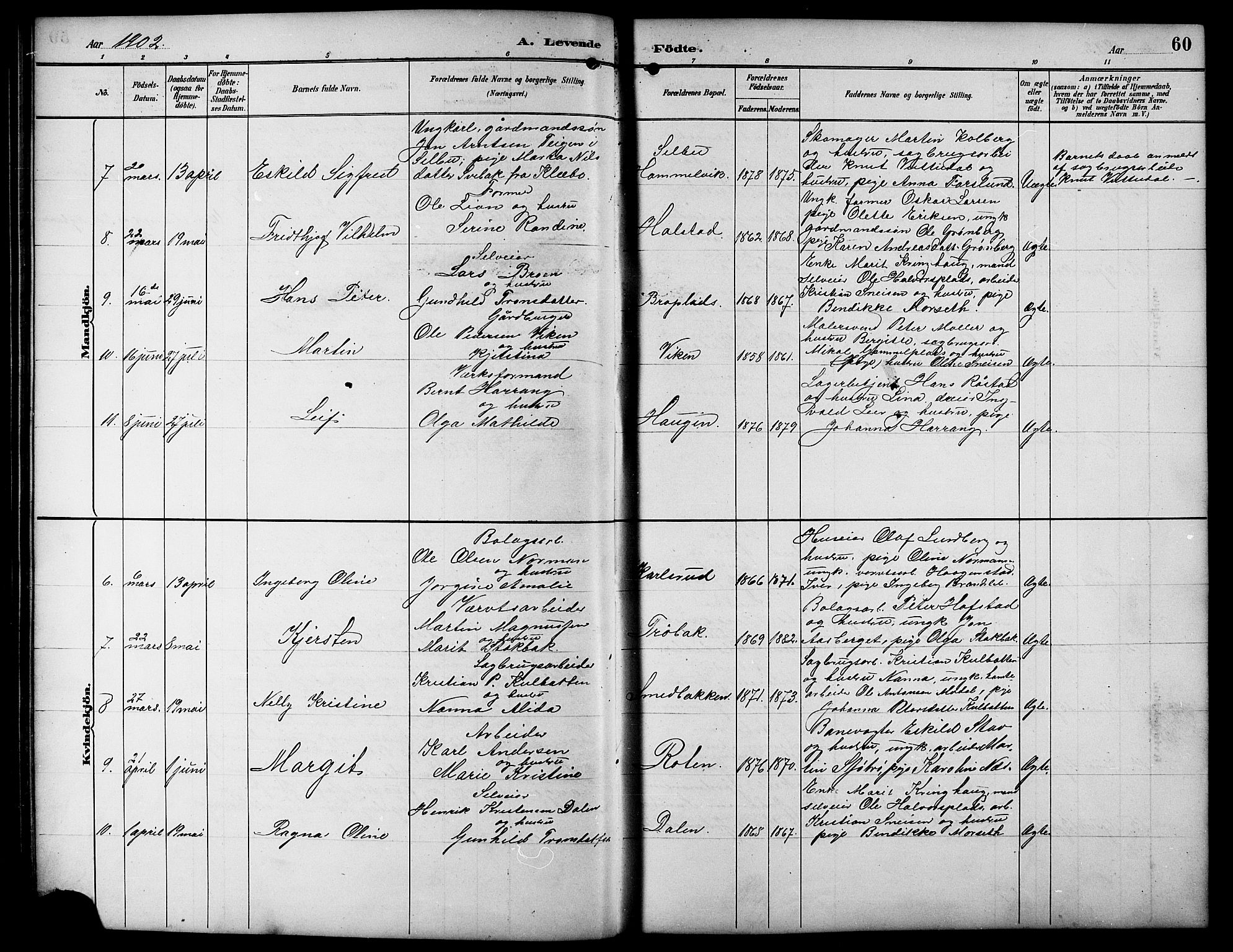 Ministerialprotokoller, klokkerbøker og fødselsregistre - Sør-Trøndelag, SAT/A-1456/617/L0431: Parish register (copy) no. 617C01, 1889-1910, p. 60