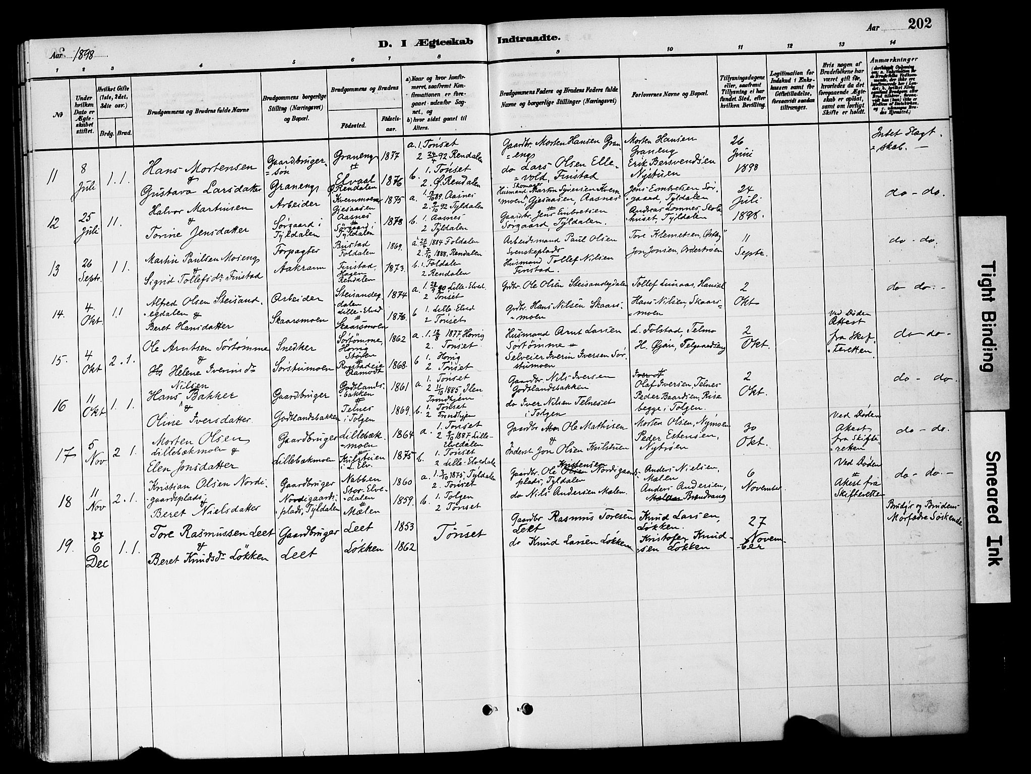 Tynset prestekontor, SAH/PREST-058/H/Ha/Haa/L0022: Parish register (official) no. 22, 1880-1899, p. 202